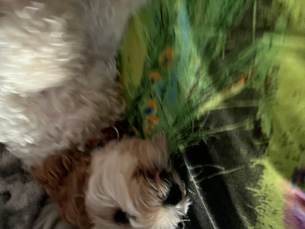 1779063608620 7yldj1 IMG 6432