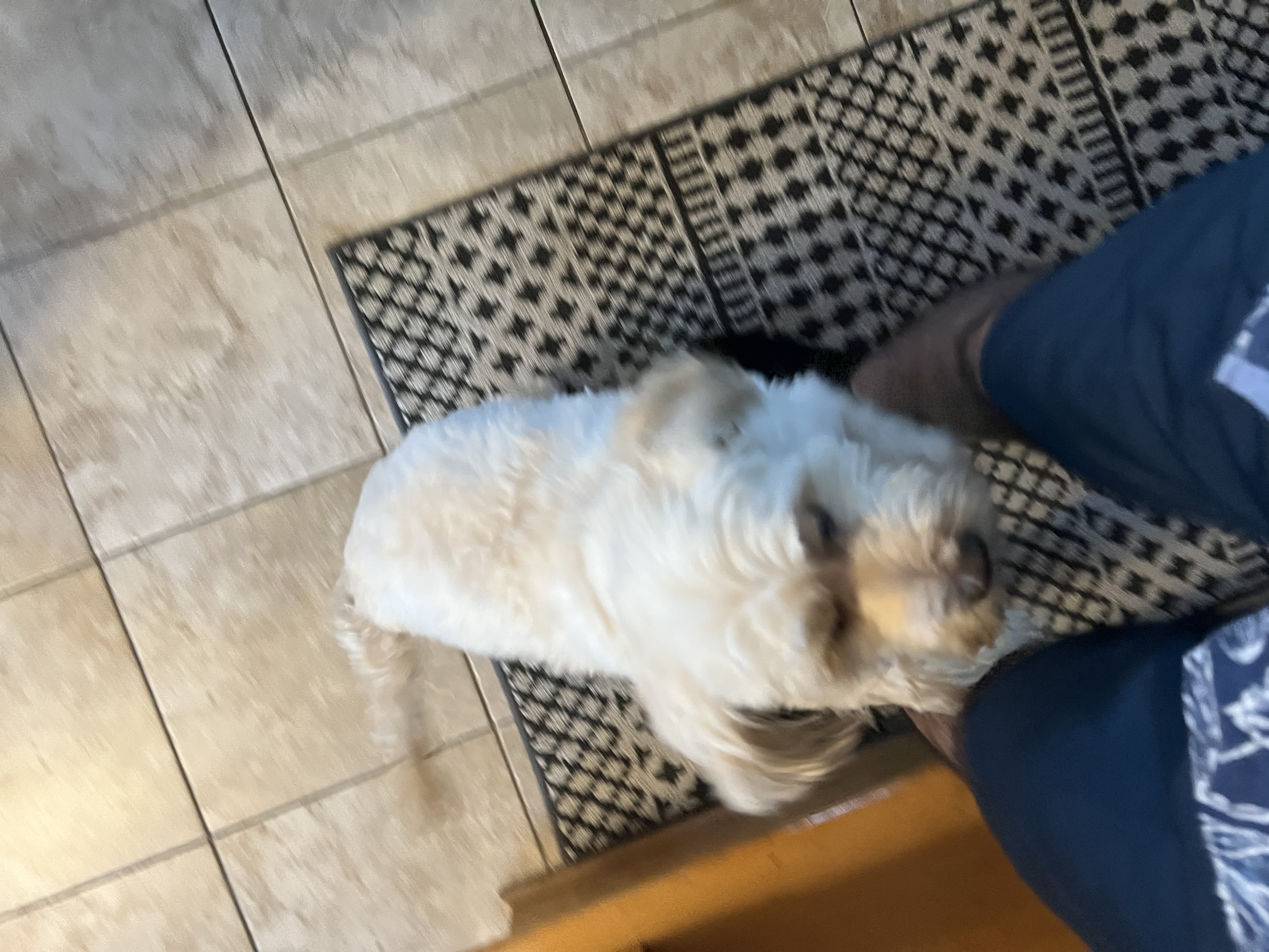 1779063612954 moqyyz IMG 1764