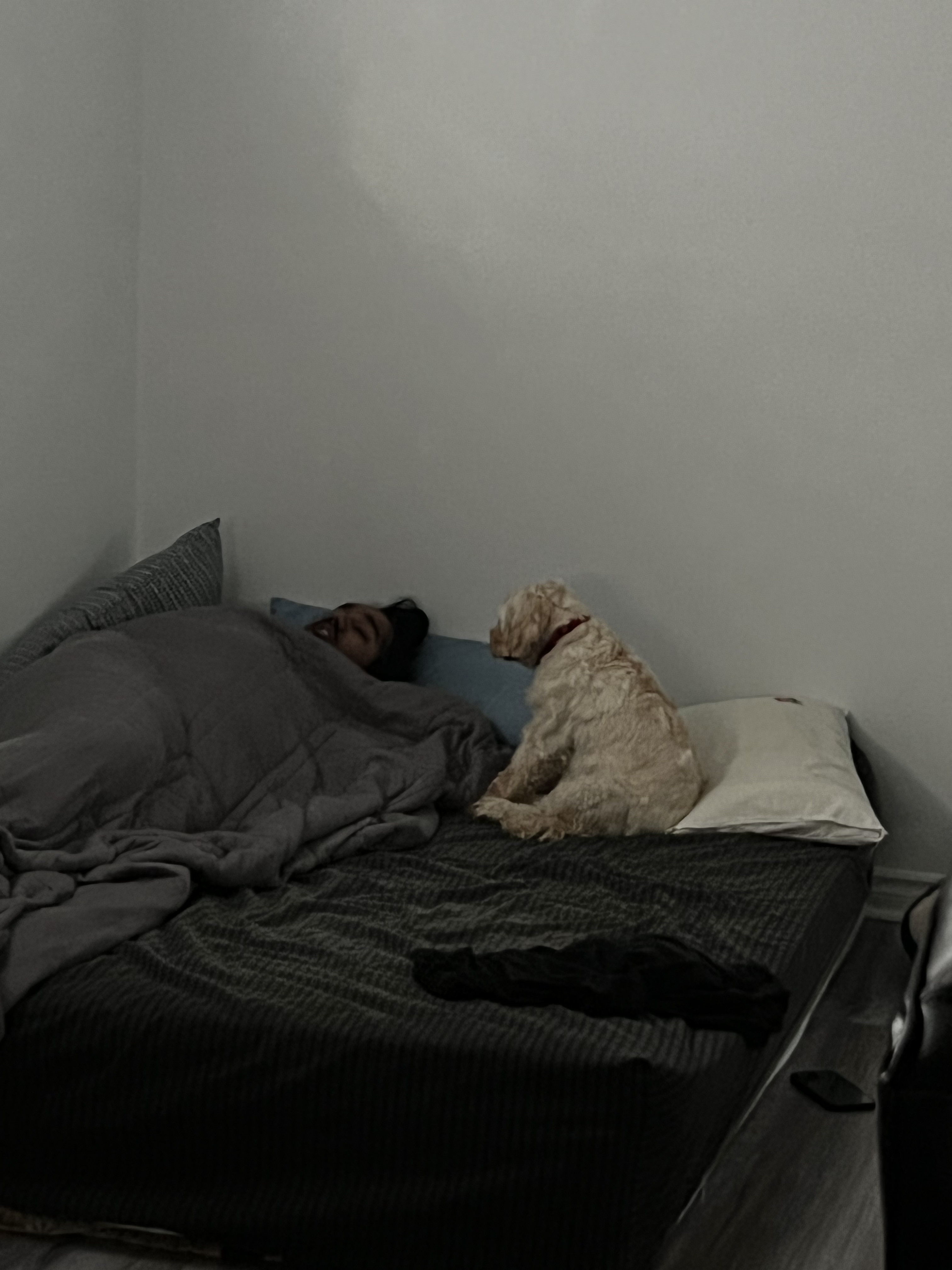 1779063616894 bnhaxy IMG 0487