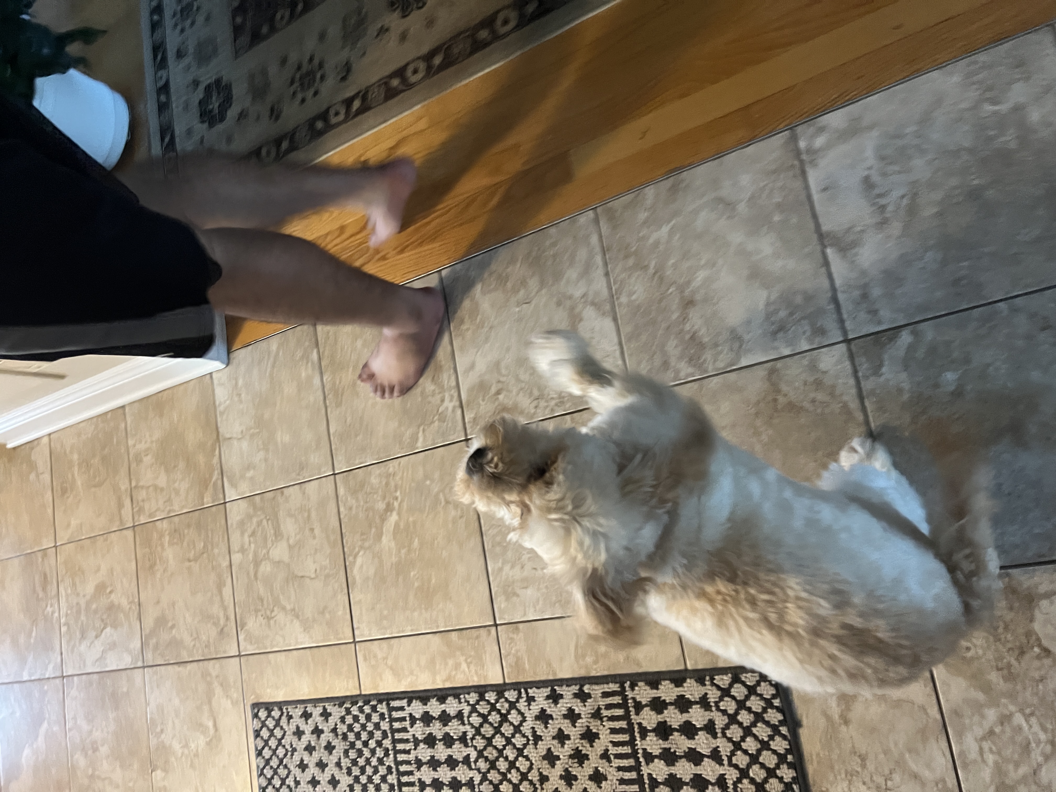 1779063619803 vi42fh IMG 1758
