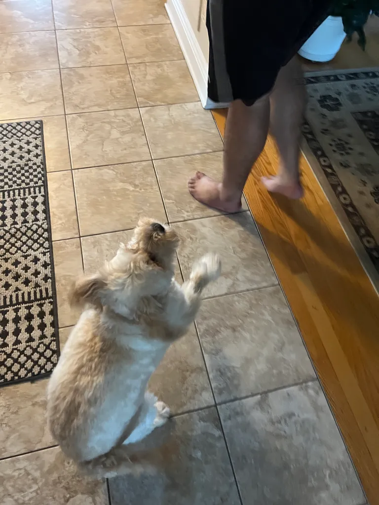 1779063619803 vi42fh IMG 1758