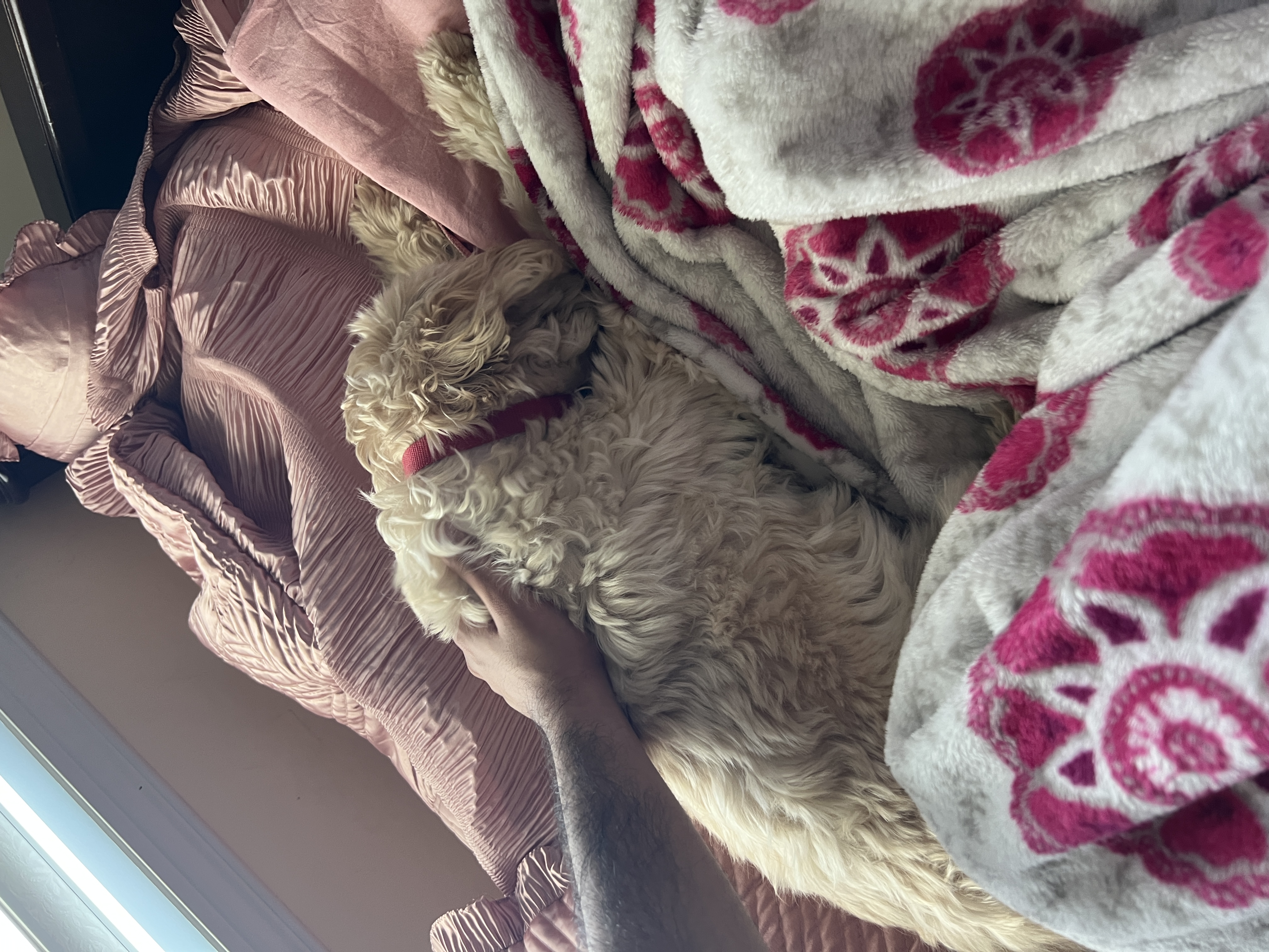 1779063625008 8tisjz IMG 0608