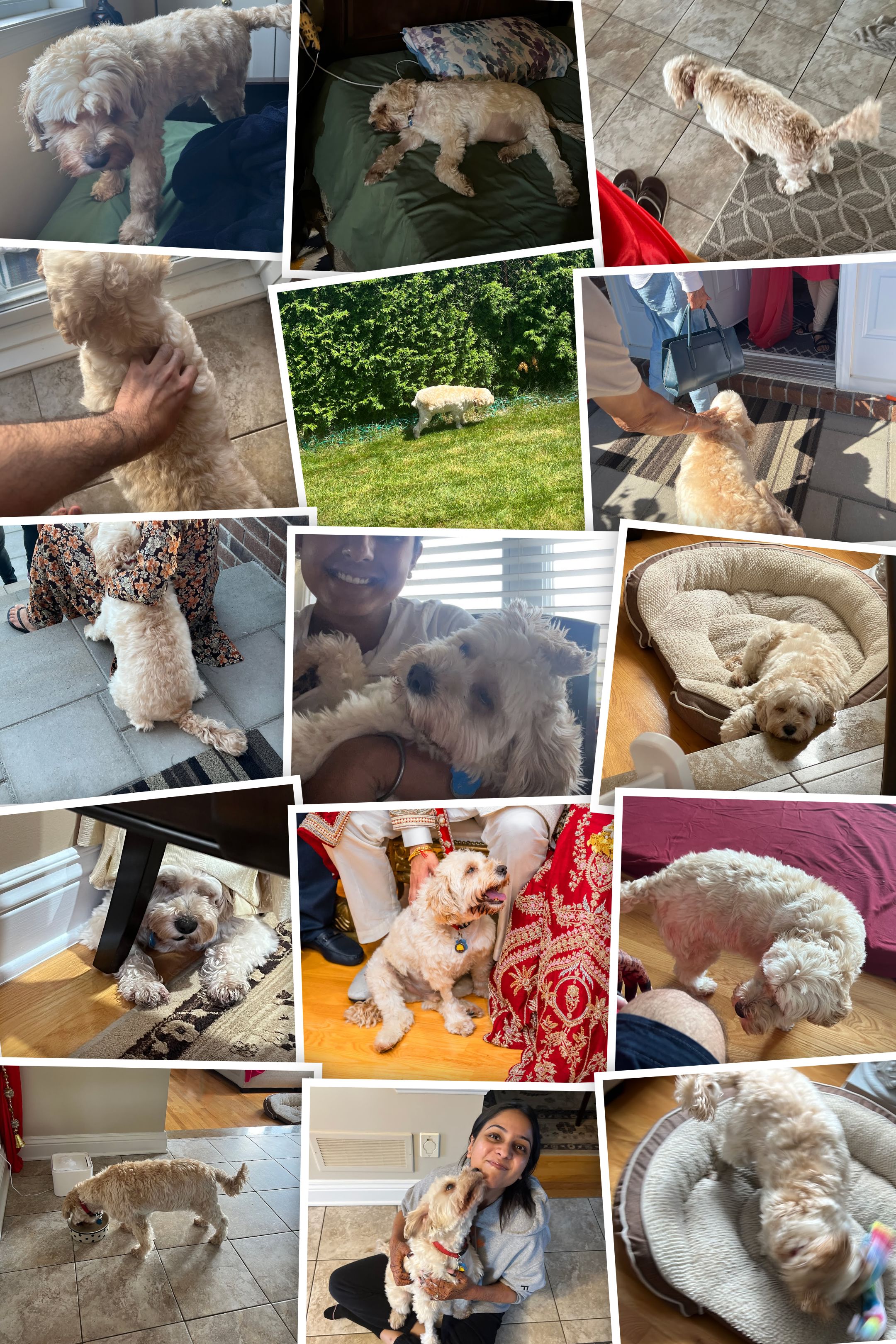 1779063632932 hfg2jh IMG 8435 COLLAGE