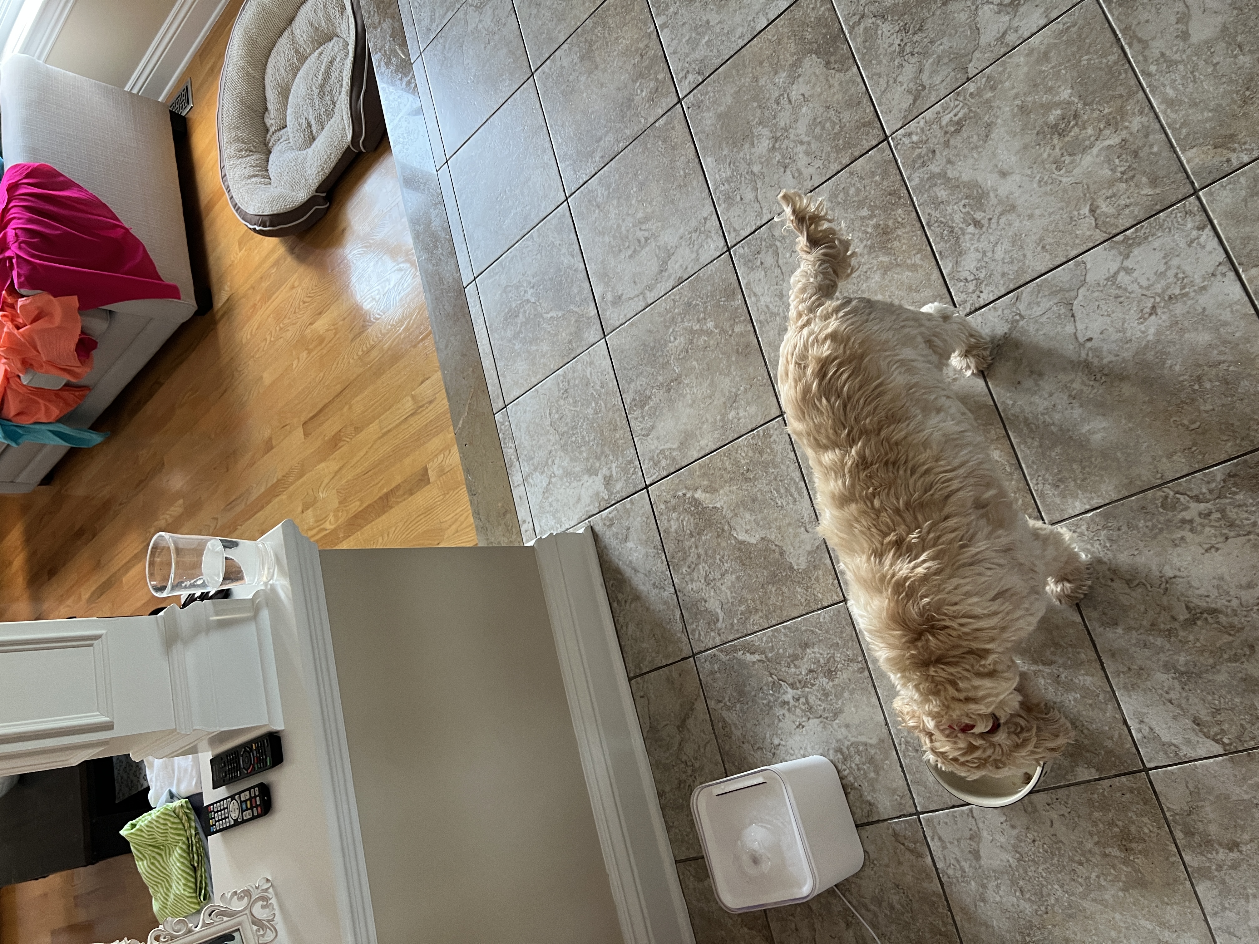1779063634793 w0jsco IMG 0127