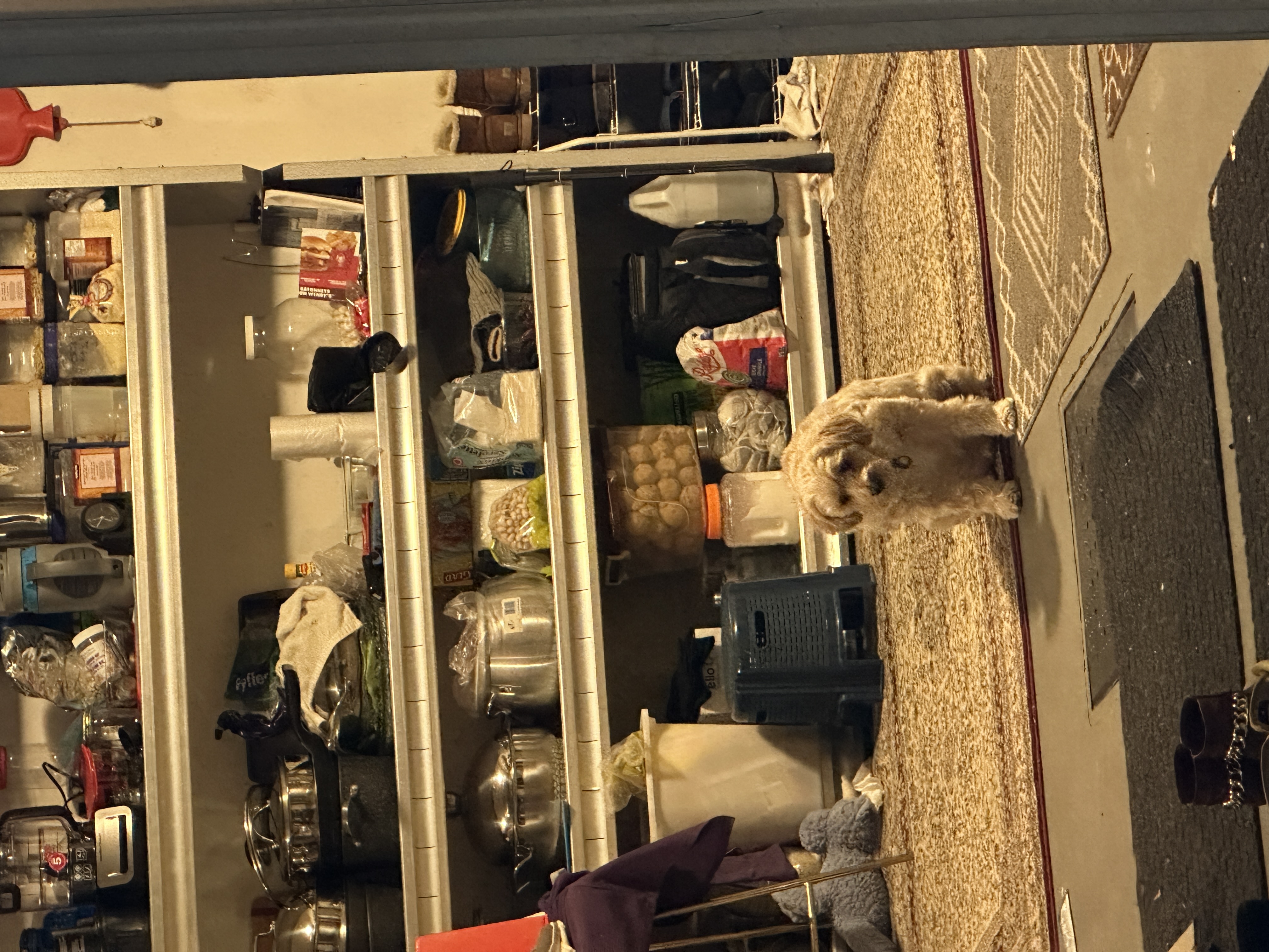 1779063639424 3r136b IMG 0750