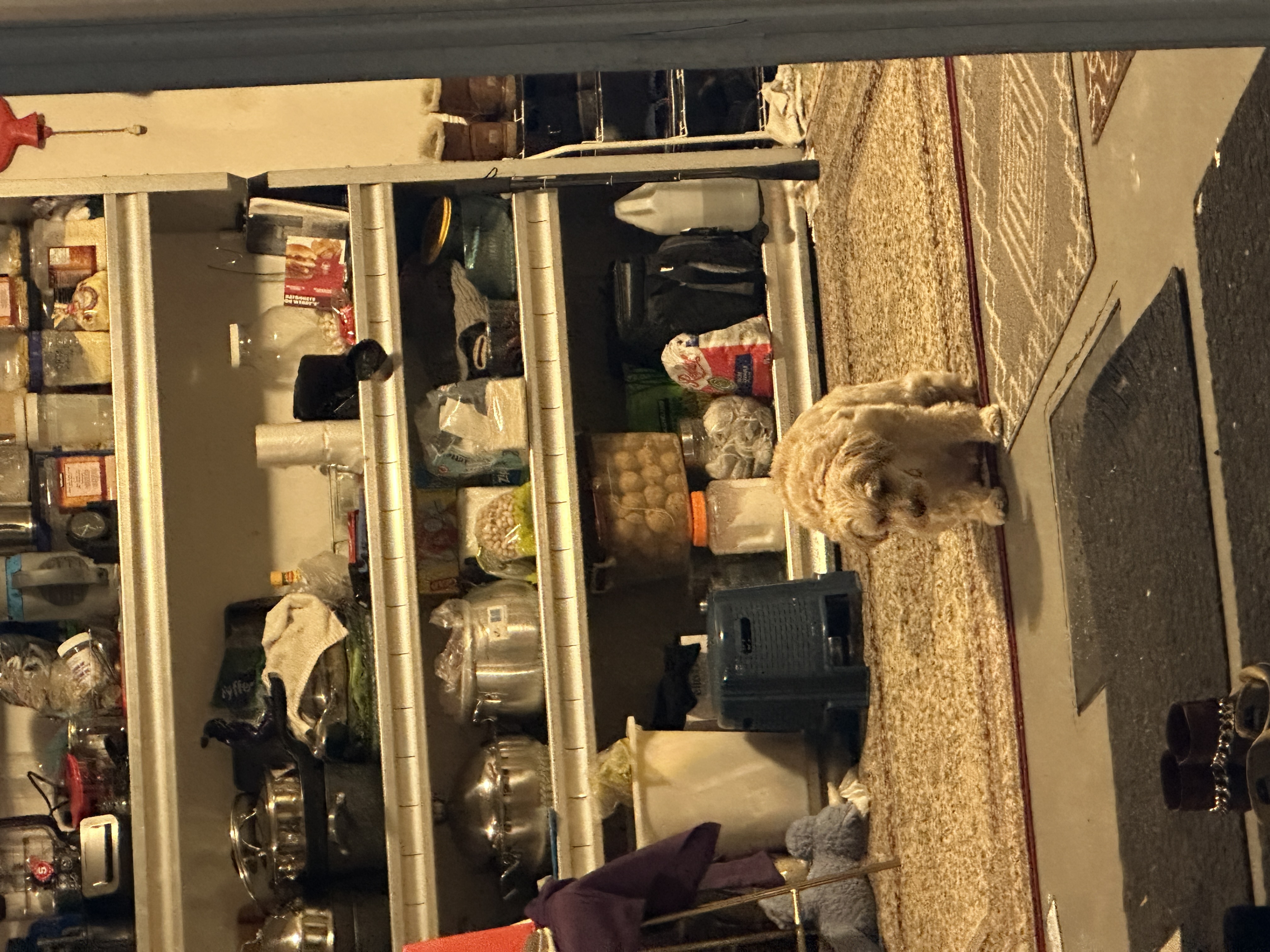 1779063640168 5hxa3n IMG 0751