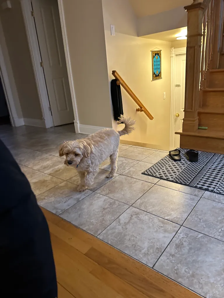 1779063642719 pkg8lk IMG 1109