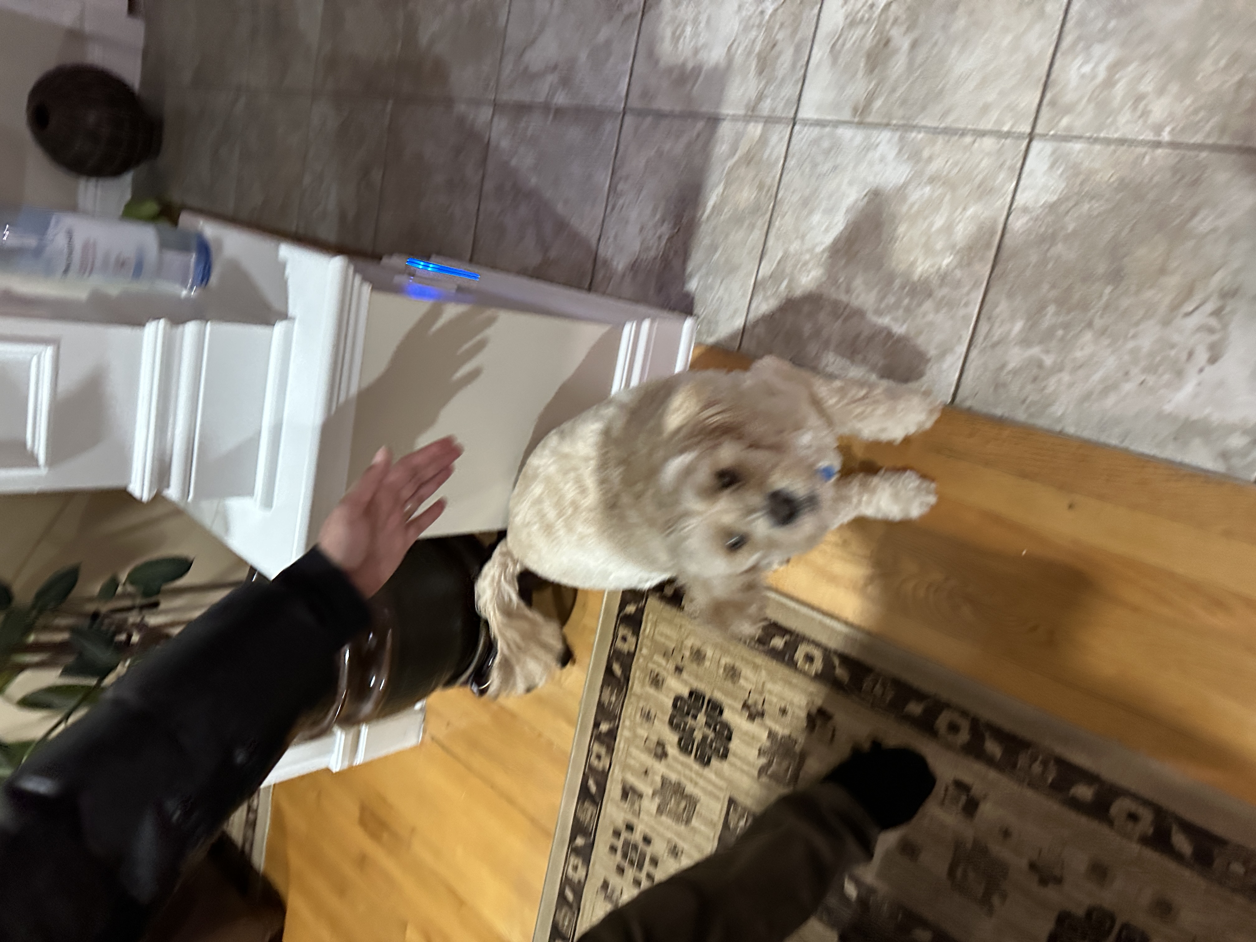 1779063650349 y18hhl IMG 0658