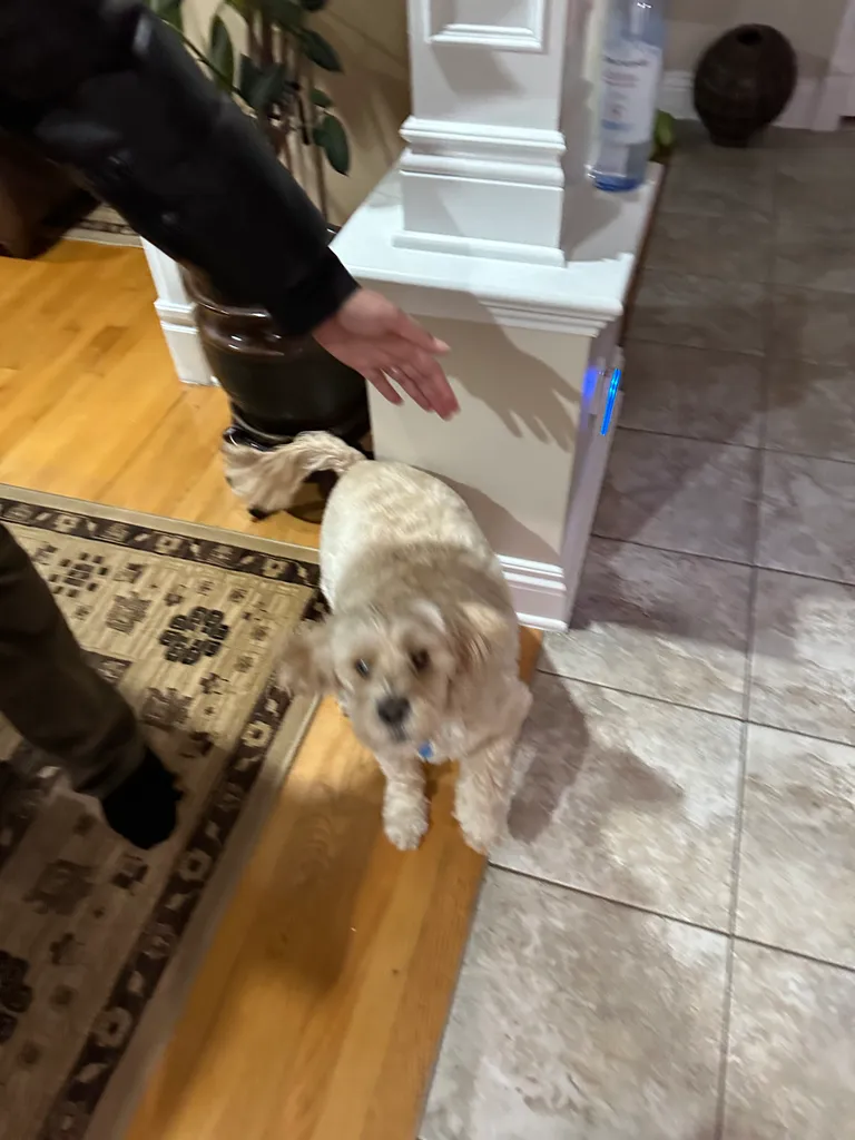 1779063650349 y18hhl IMG 0658