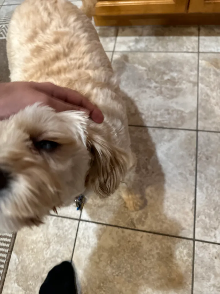 1779063650477 apb11e IMG 0406