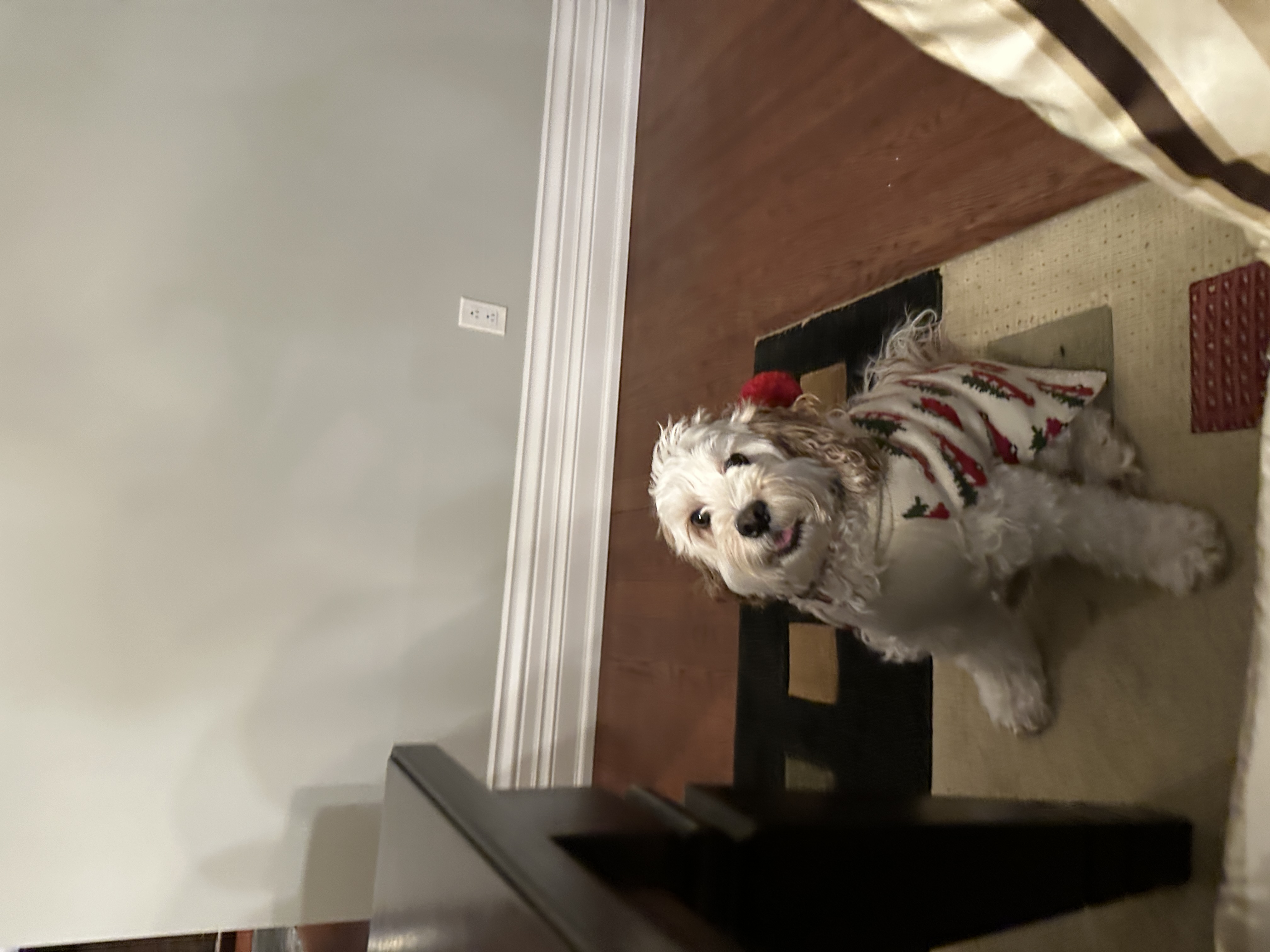 1779063652987 hqbxkx IMG 0154
