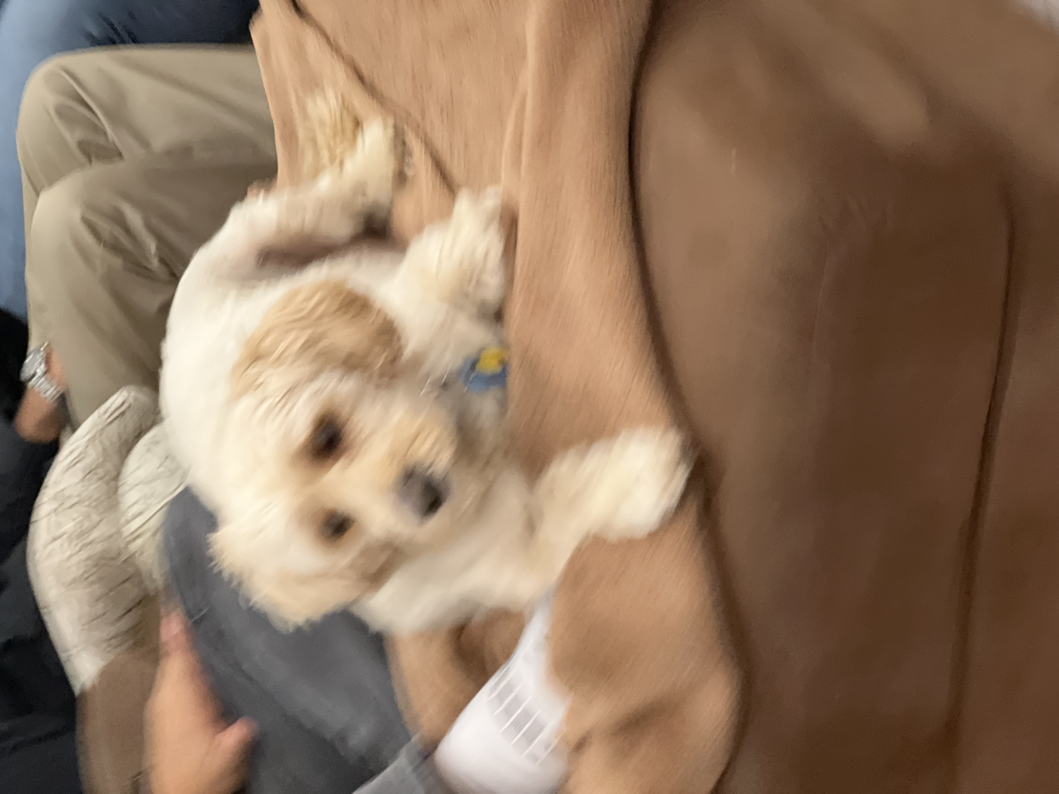 1779063661235 uwnw1m IMG 0270