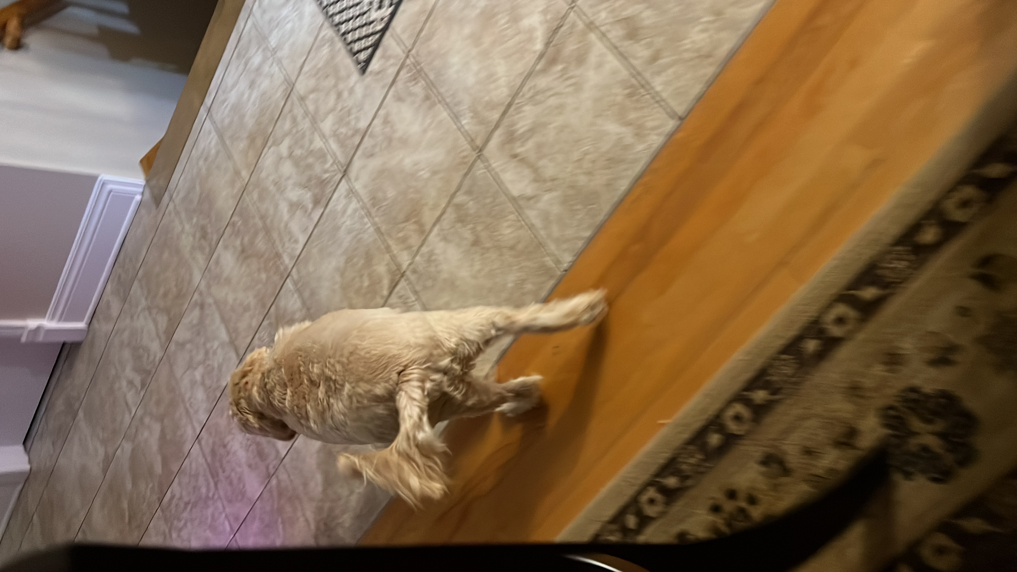 1779063661704 io2v59 IMG 9829