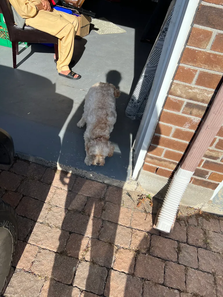 1779063677376 jvwtkg IMG 7923