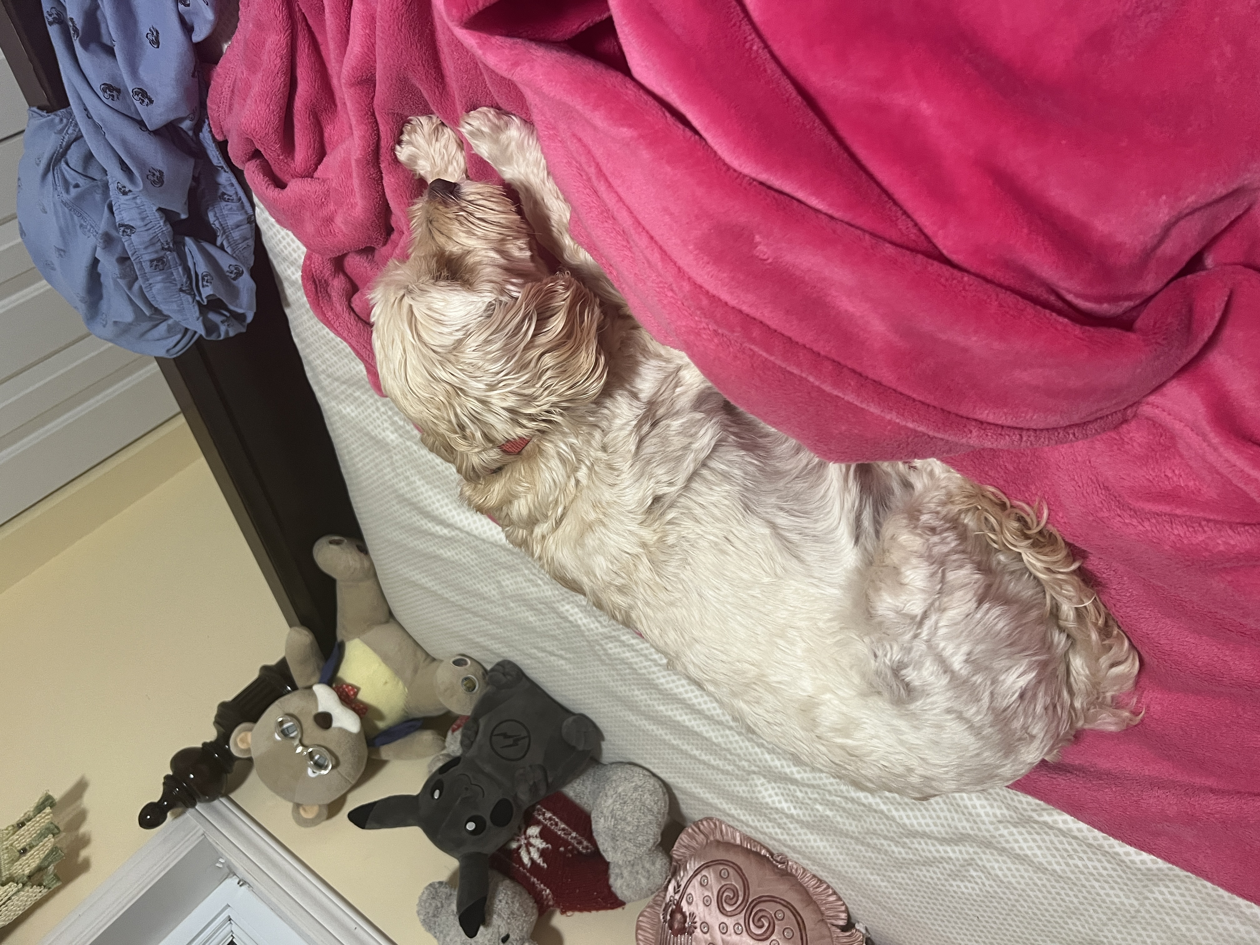 1779063679842 hxjwbh IMG 7791