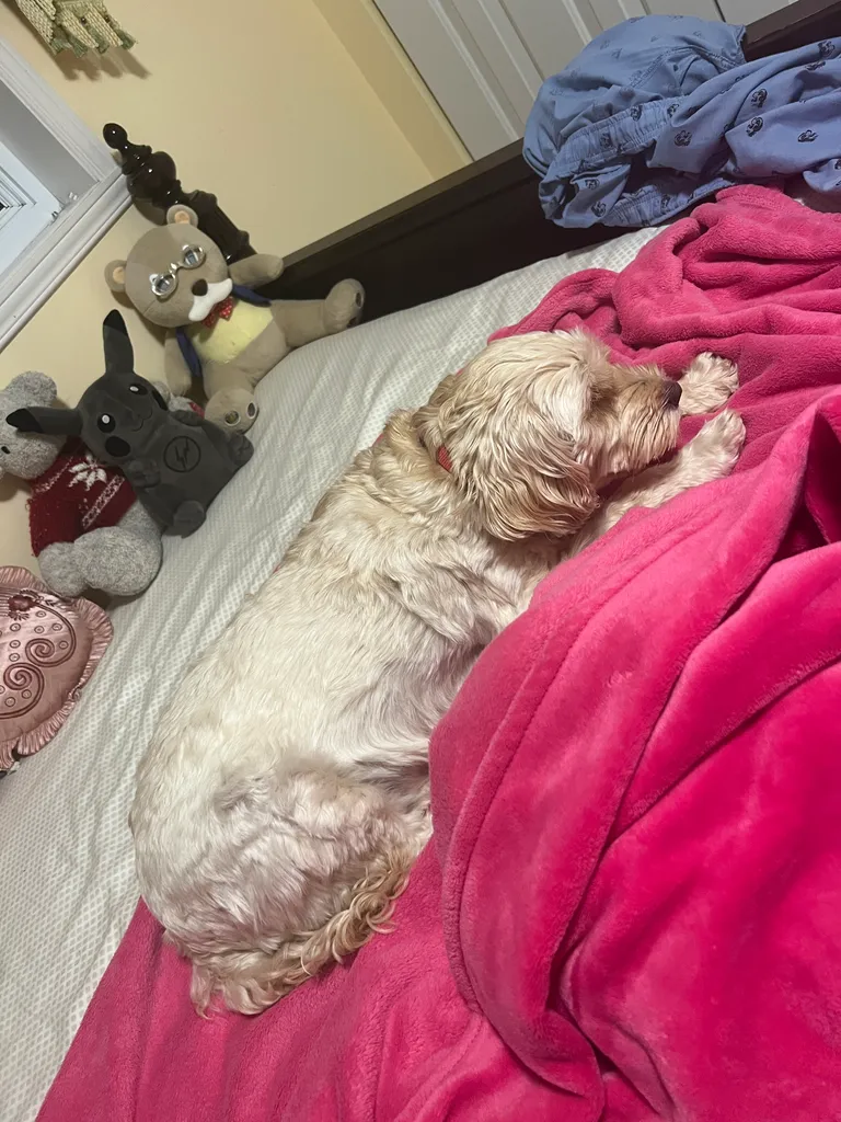 1779063679842 hxjwbh IMG 7791