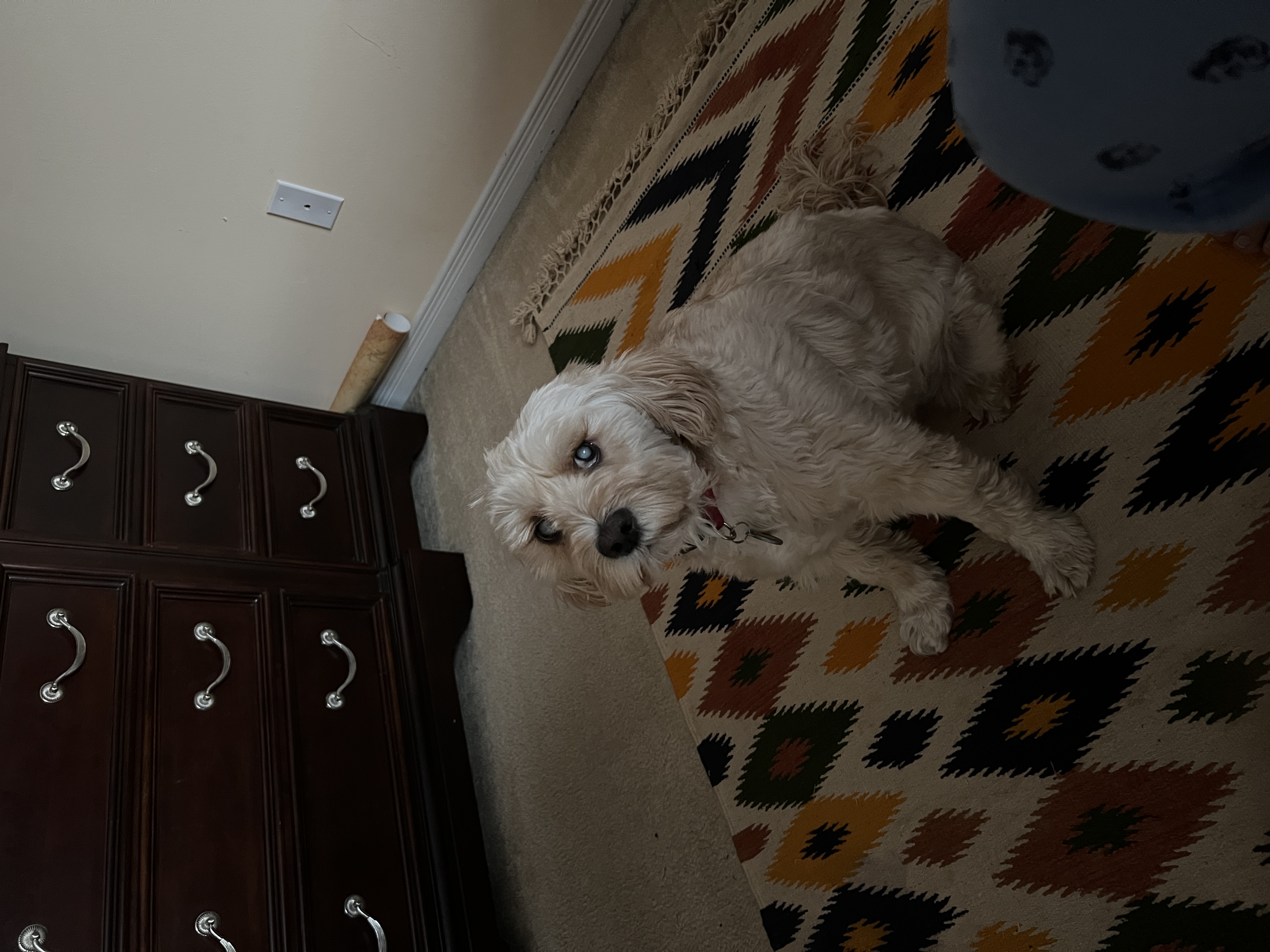 1779063680709 np9fx3 IMG 7743