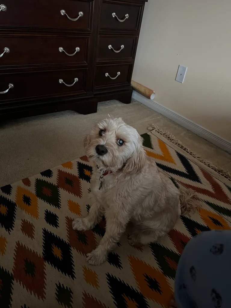 1779063680709 np9fx3 IMG 7743
