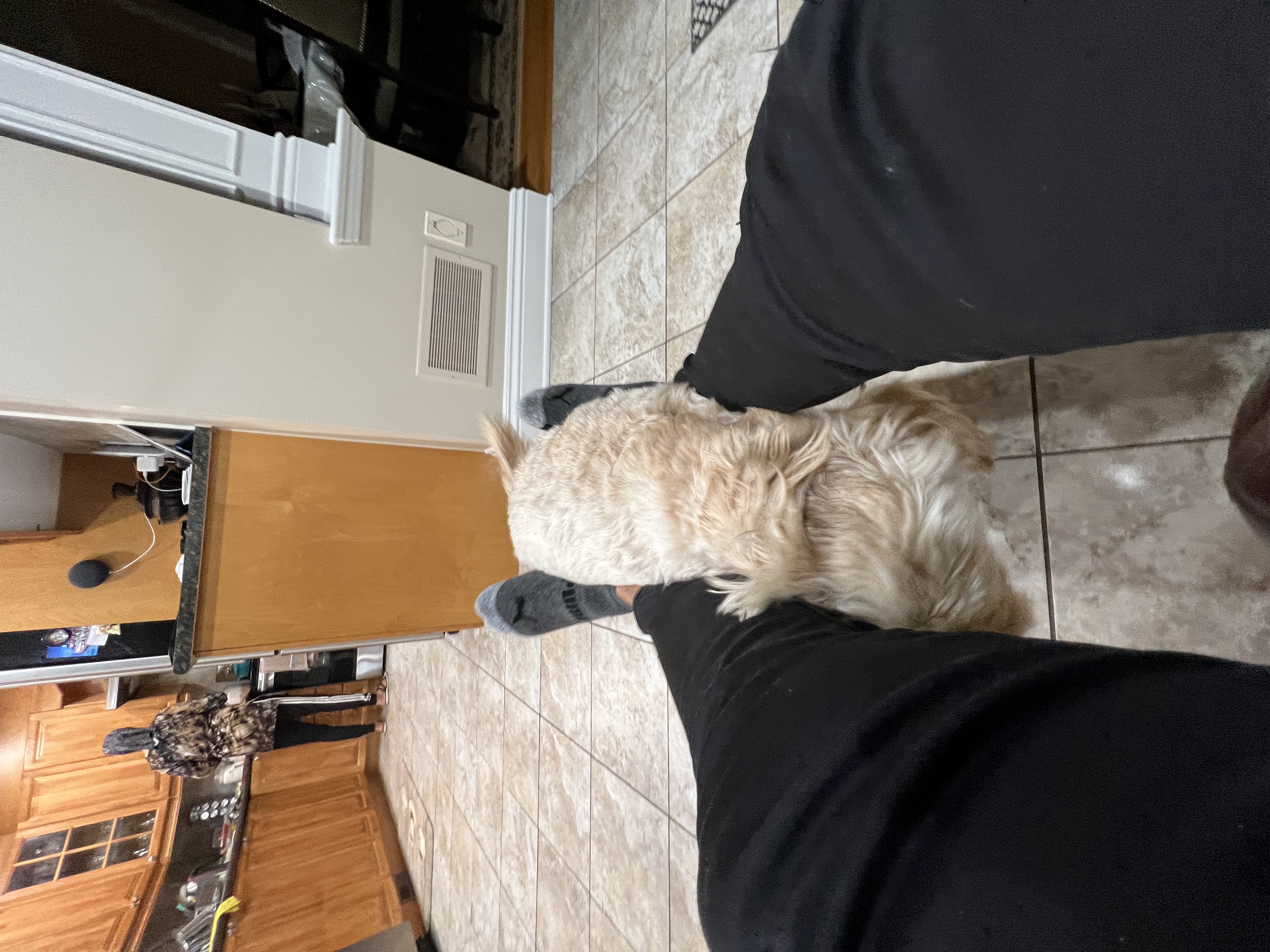 1779063685940 16bj5r IMG 7567