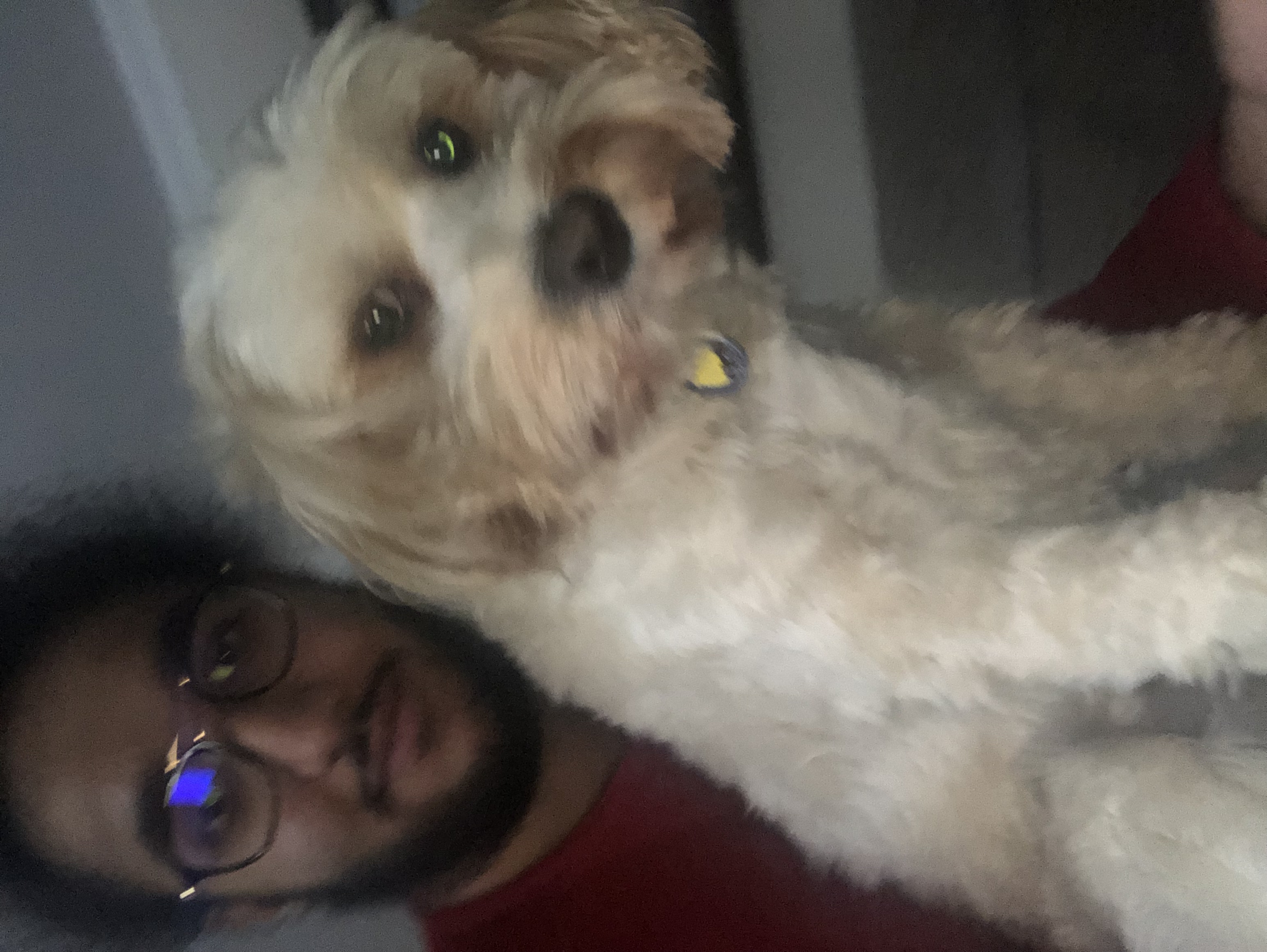 1779063701560 zozzet 31473729197 83eb7b0d88 o