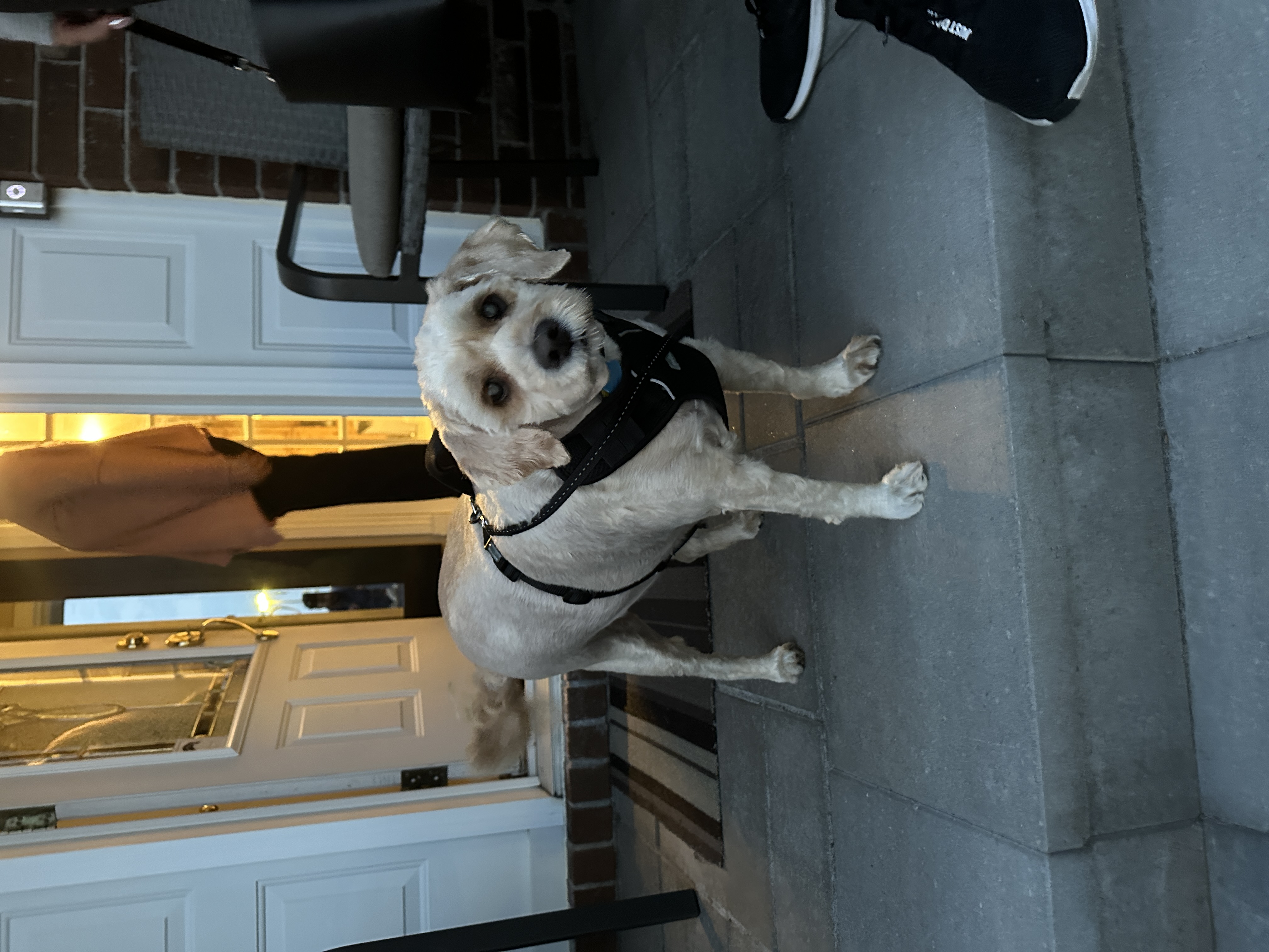 1779063705152 omgs3b IMG 9765