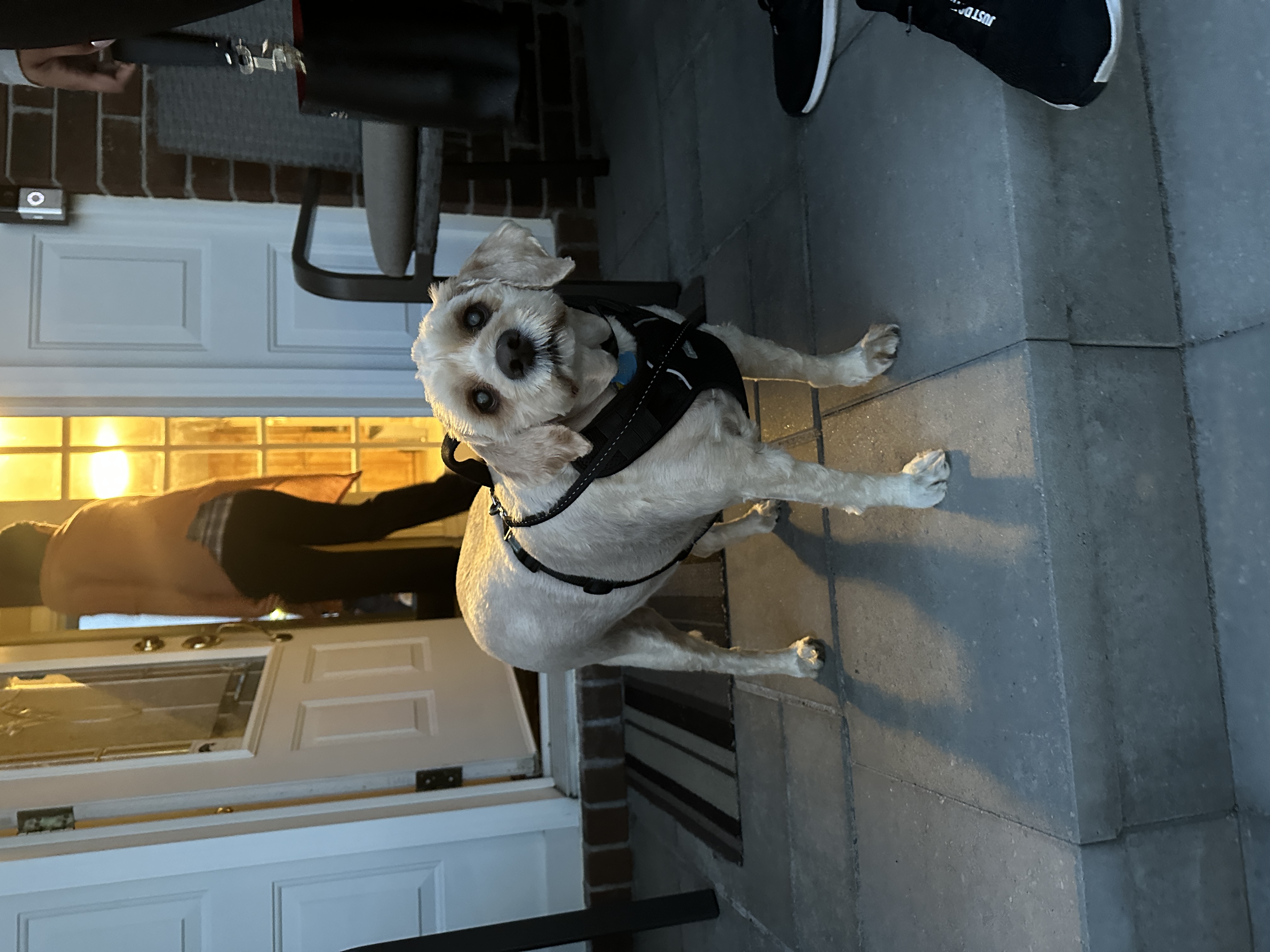 1779063707682 h108hn IMG 9767