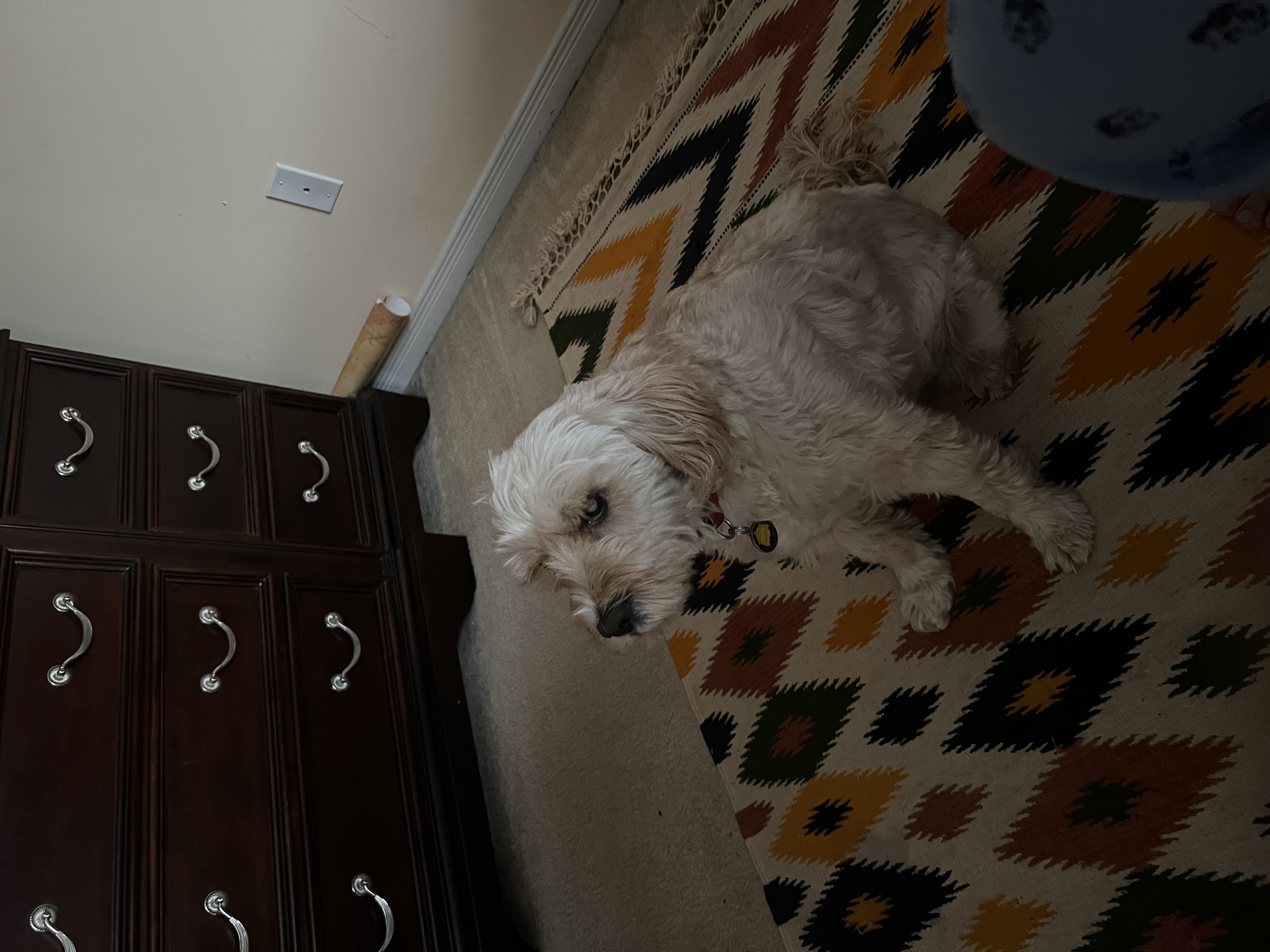 1779063713125 yi4wsl IMG 7741