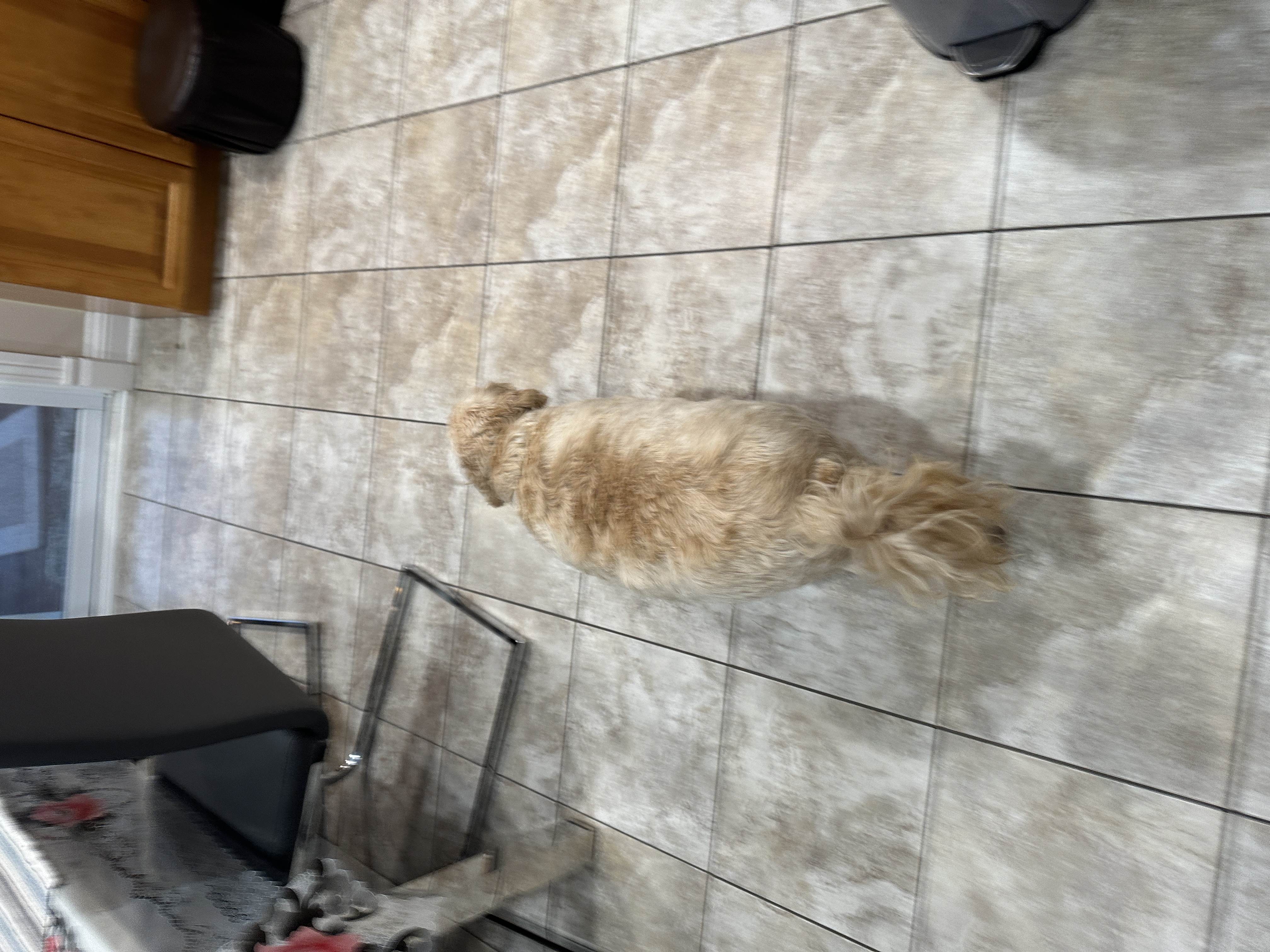 1779063715966 0ff0gi IMG 9469