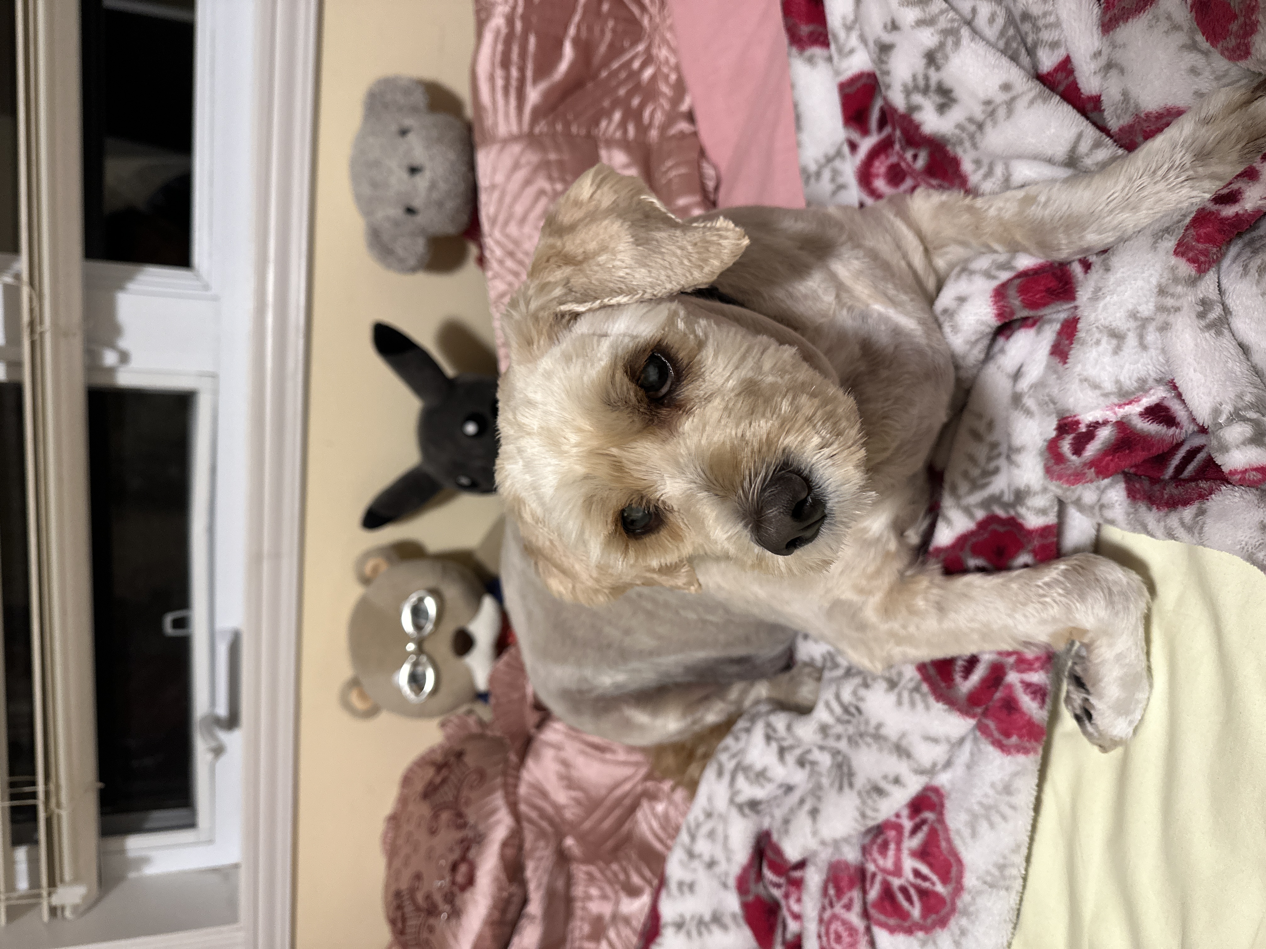 1779063718313 at2zp5 IMG 9635