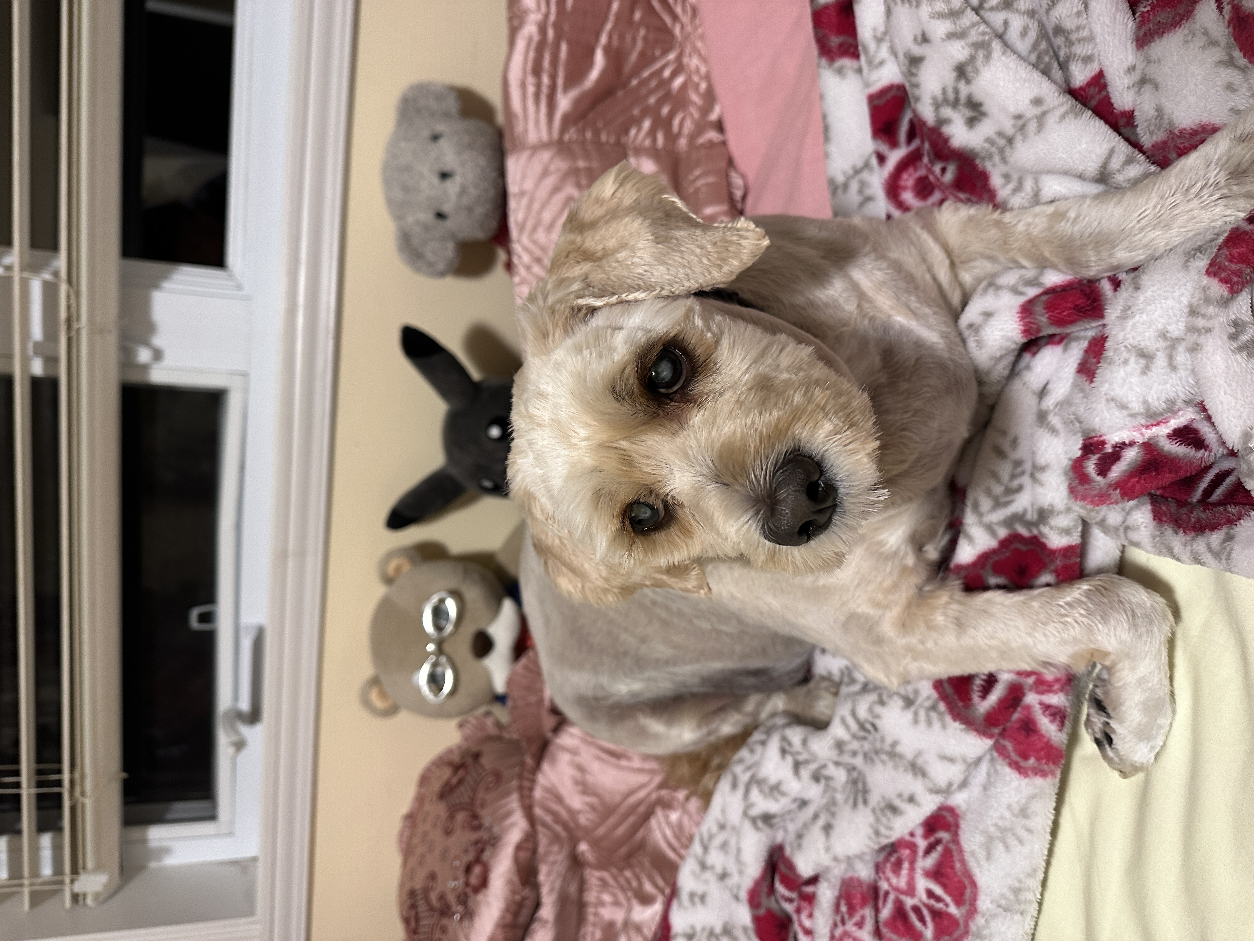 1779063720118 s5qcj9 IMG 9633