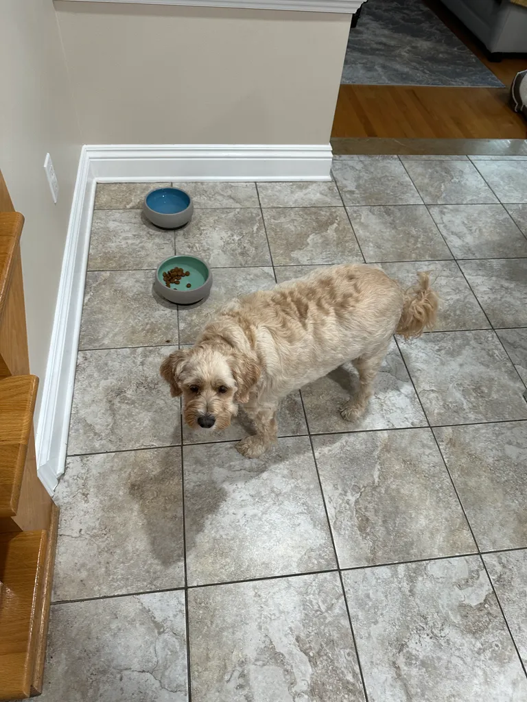 1779063725243 38qcri IMG 7616