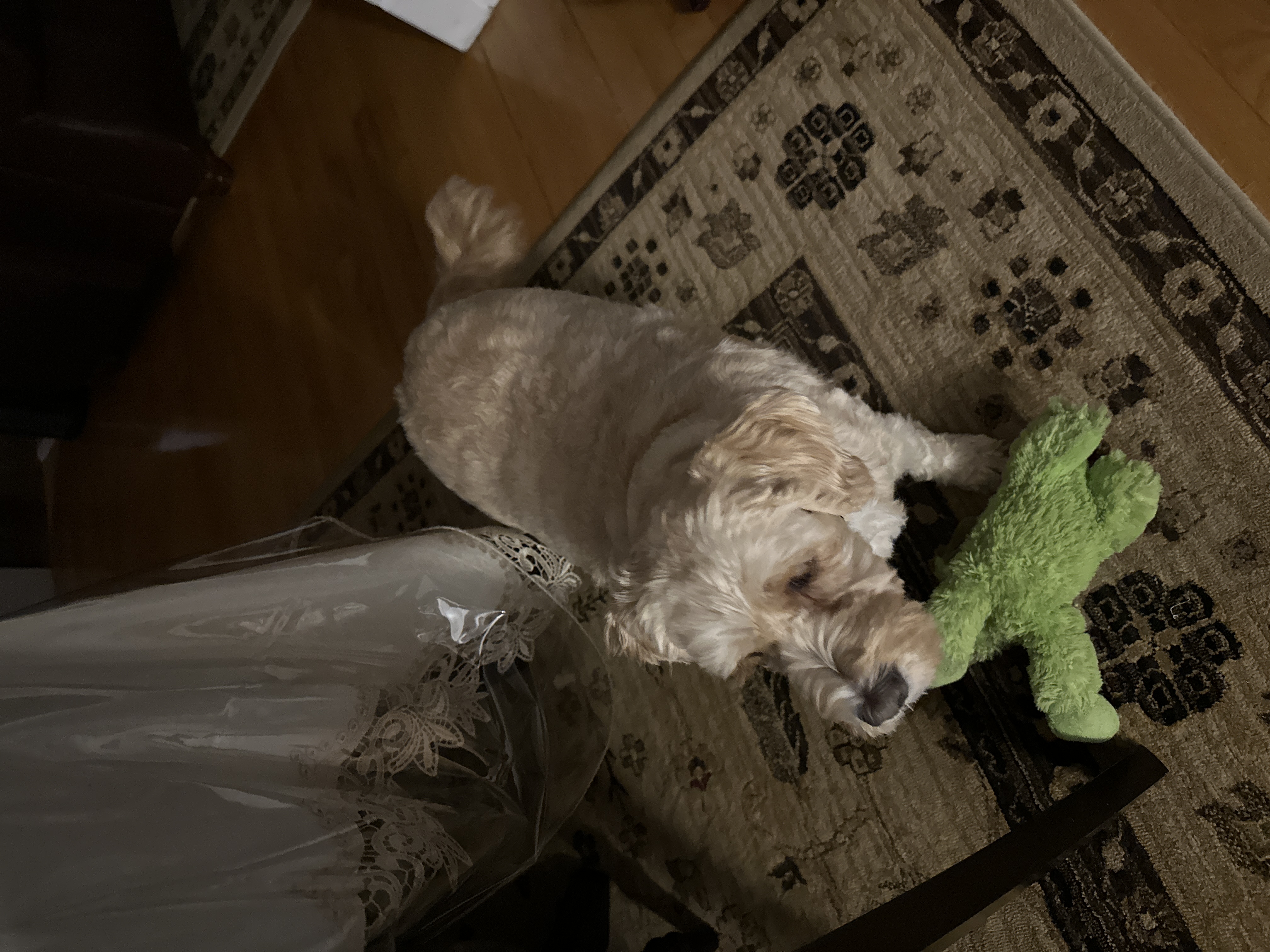 1779063734126 pu863h IMG 5563