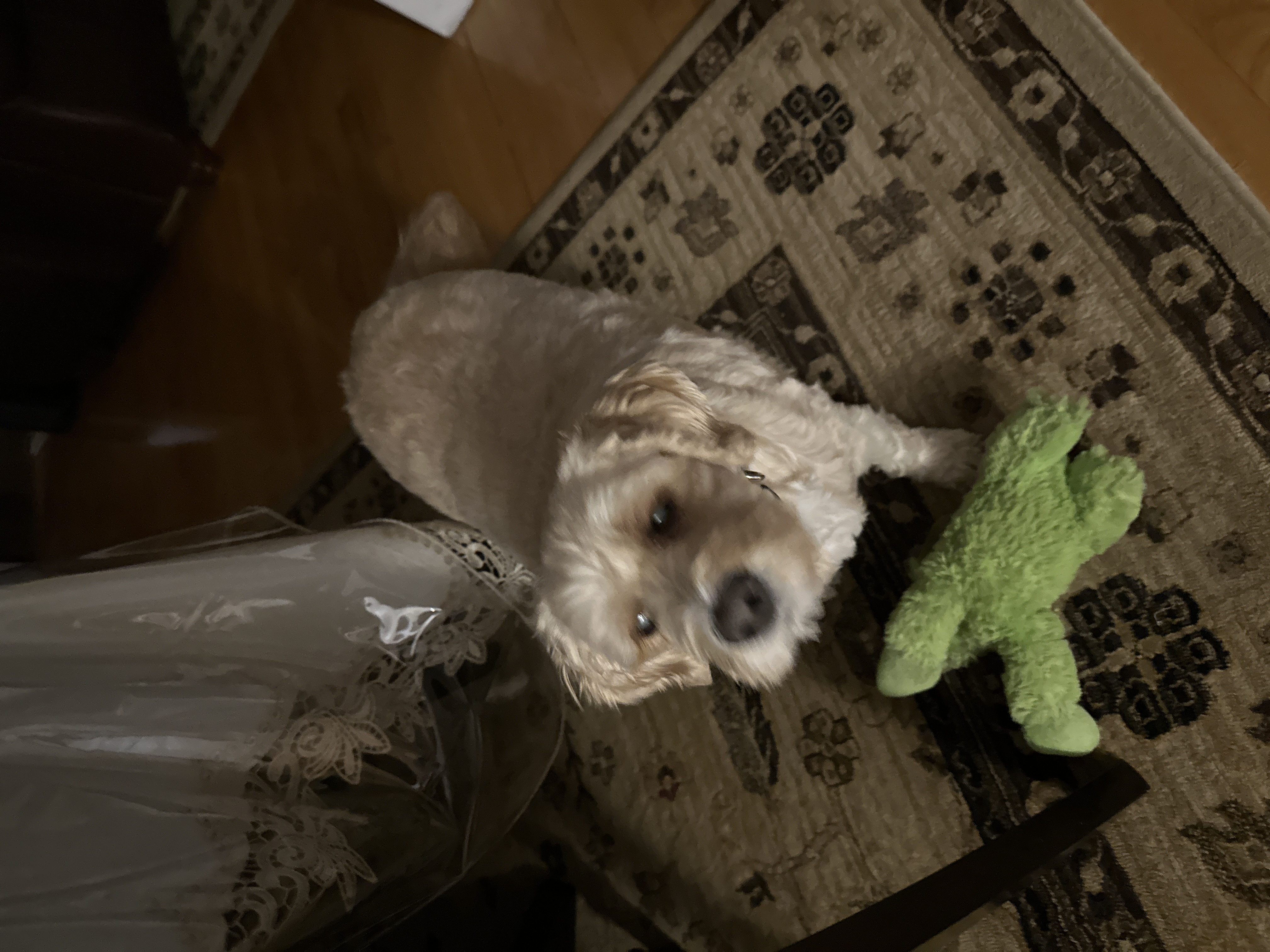 1779063735320 c45u8k IMG 5562
