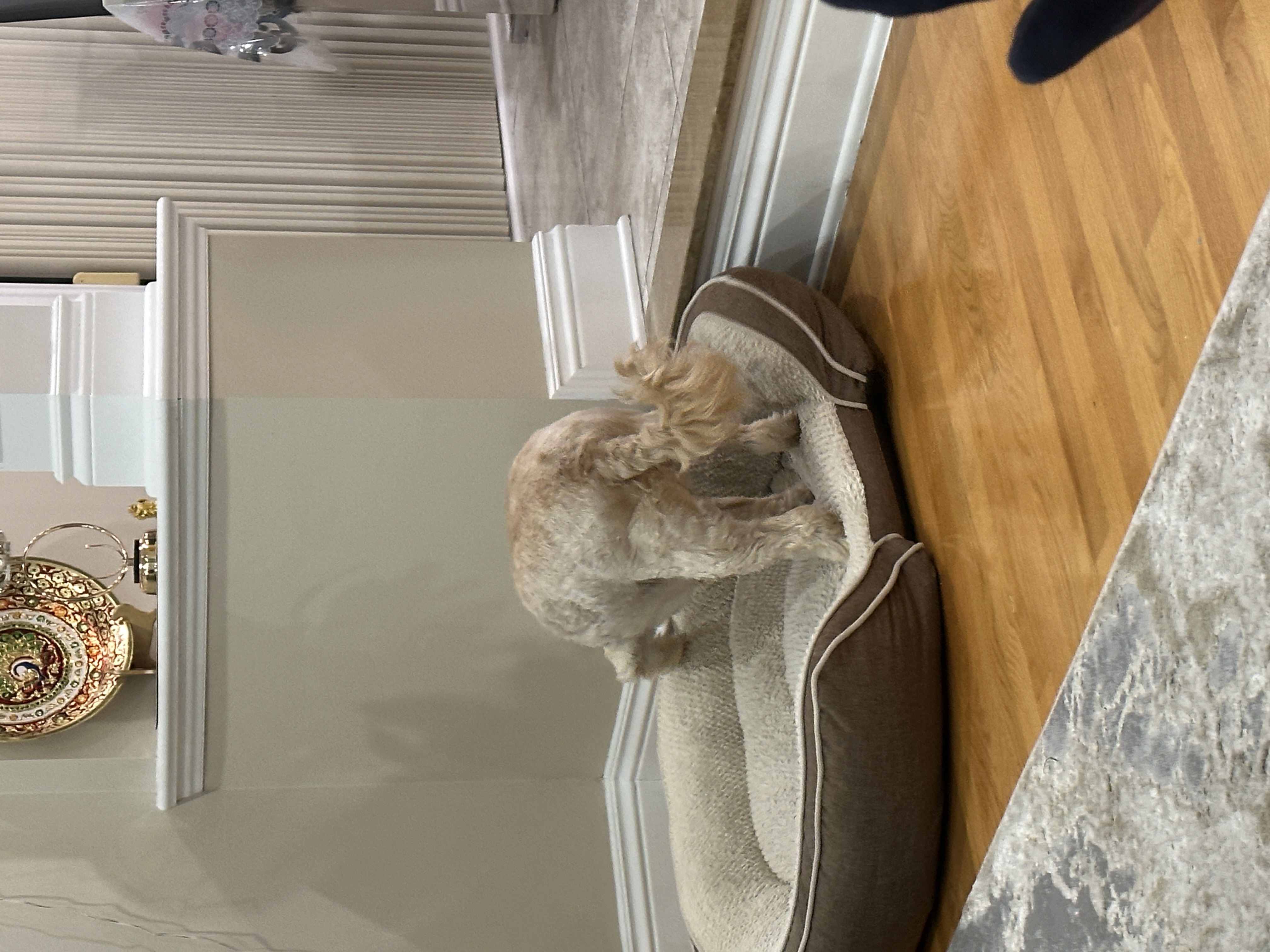 1779063736560 ipdj2b IMG 5247