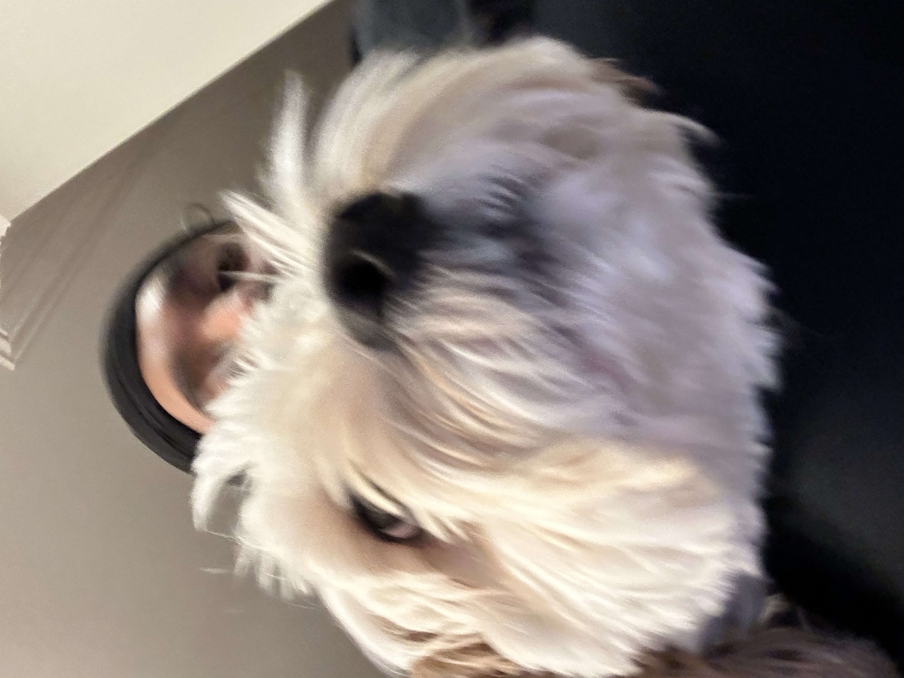 1779063740336 2oijdy IMG 4303