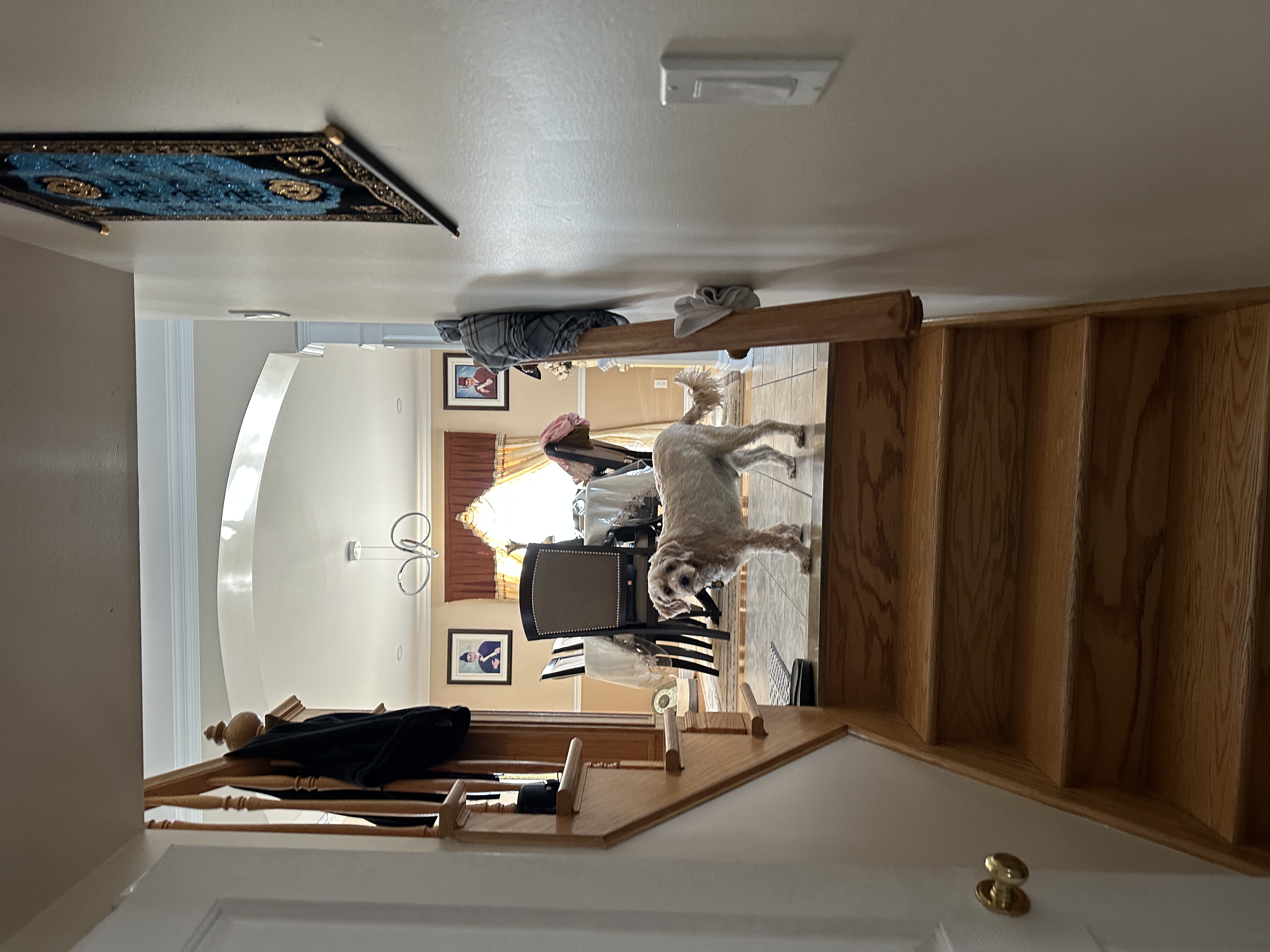 1779063740539 bx0uby IMG 4260
