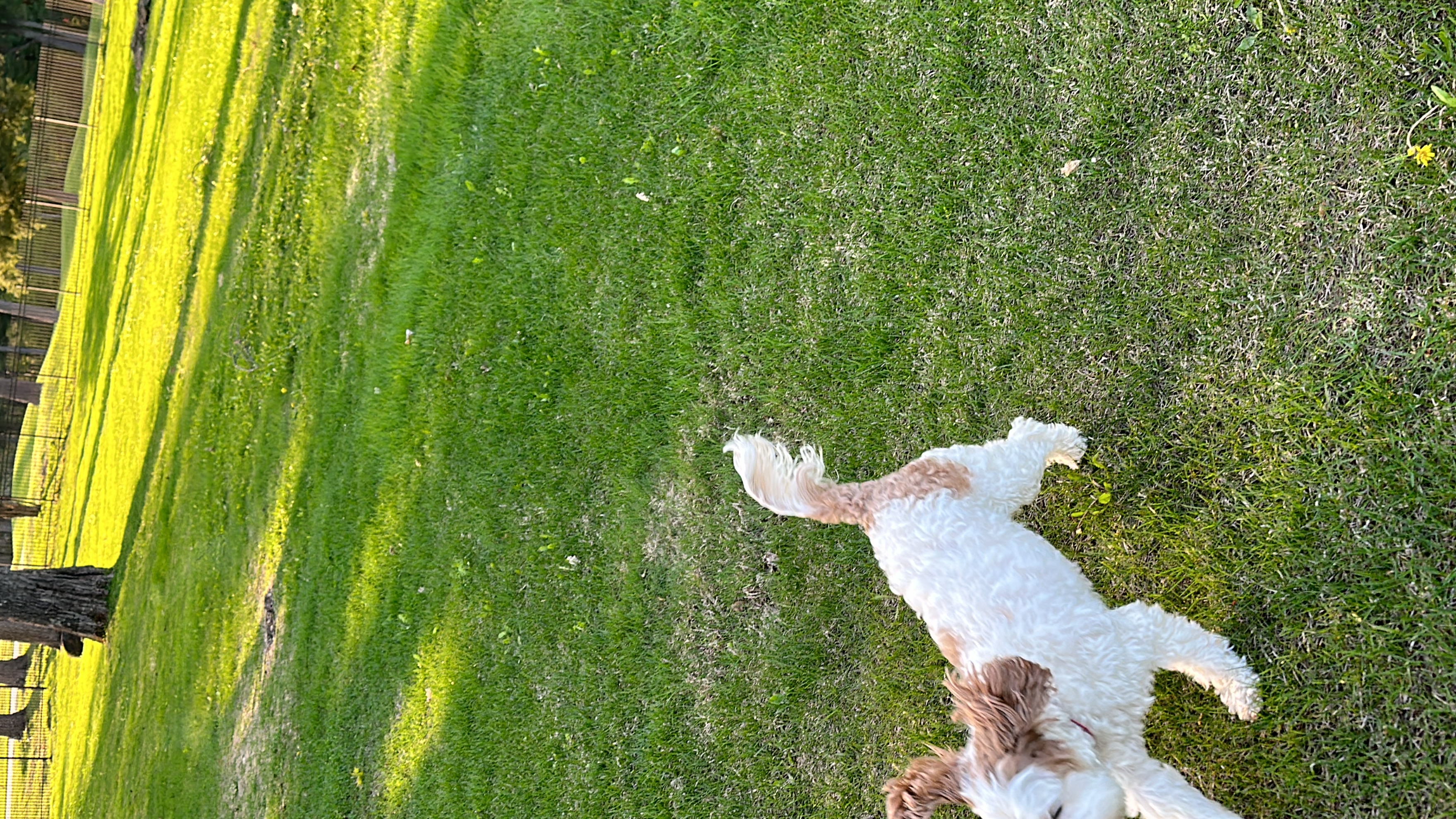 1779063740845 2zb0l2 IMG 5853