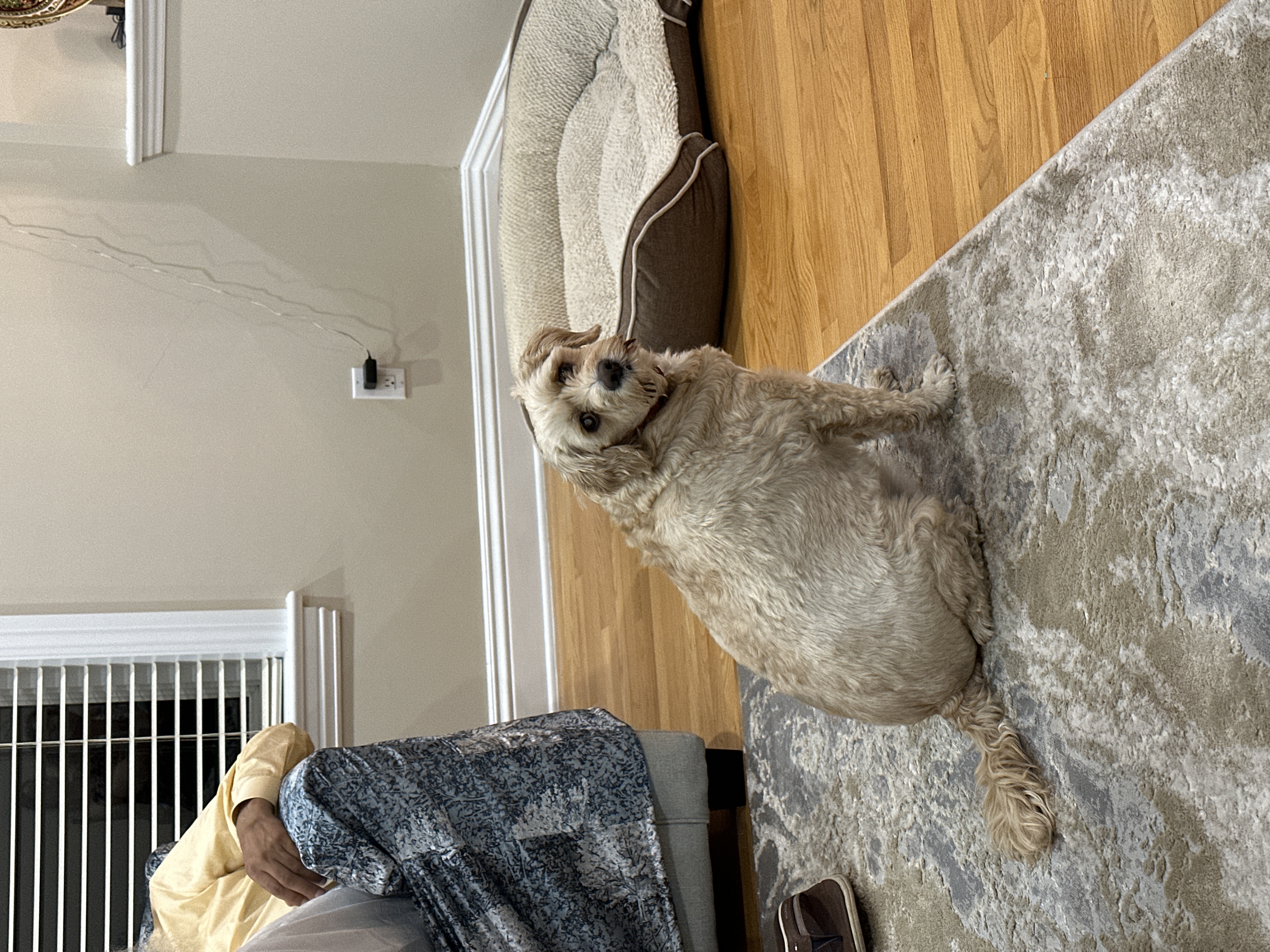 1779063741505 oh720l IMG 4226