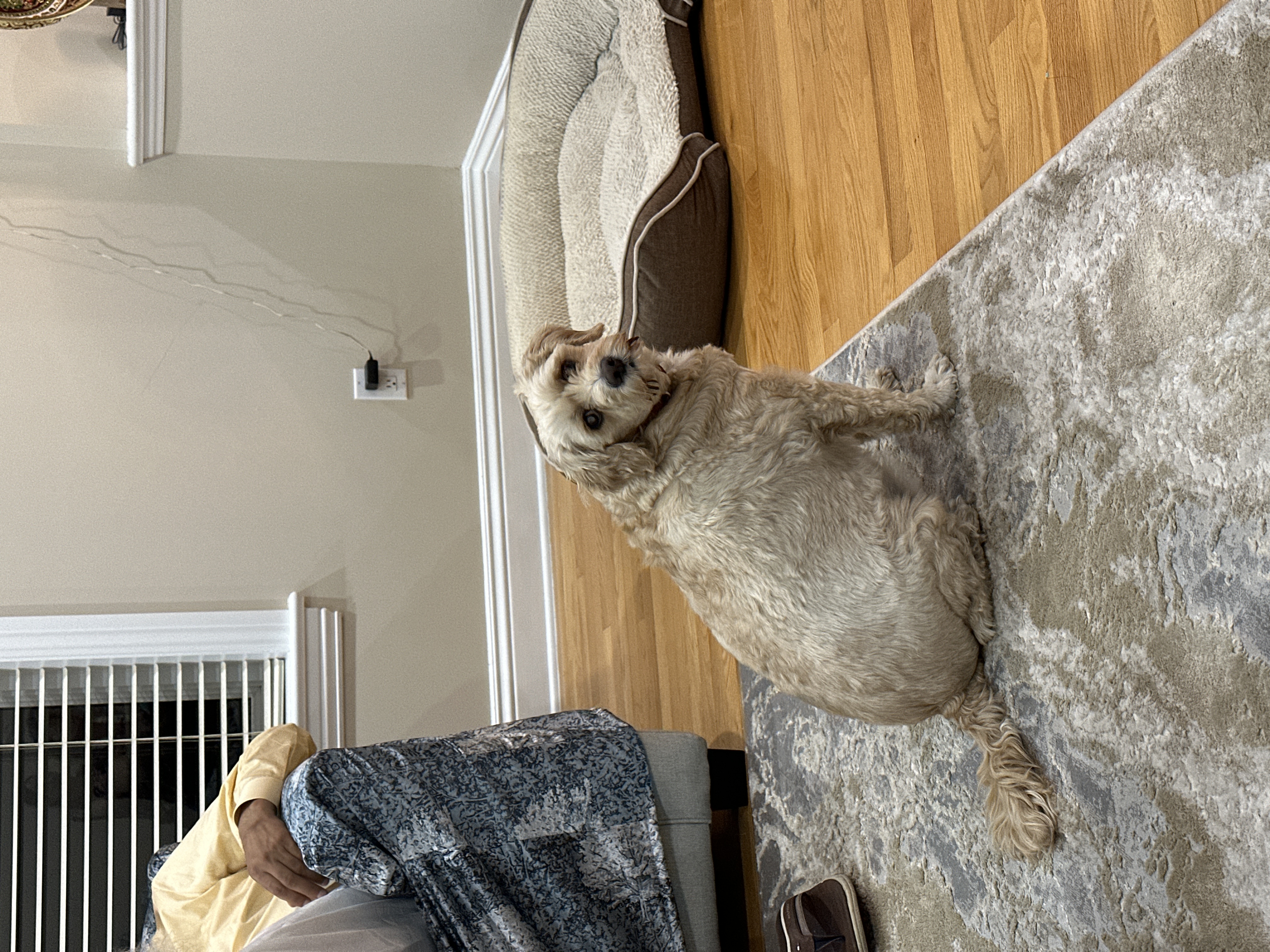 1779063742091 z3t58x IMG 4227