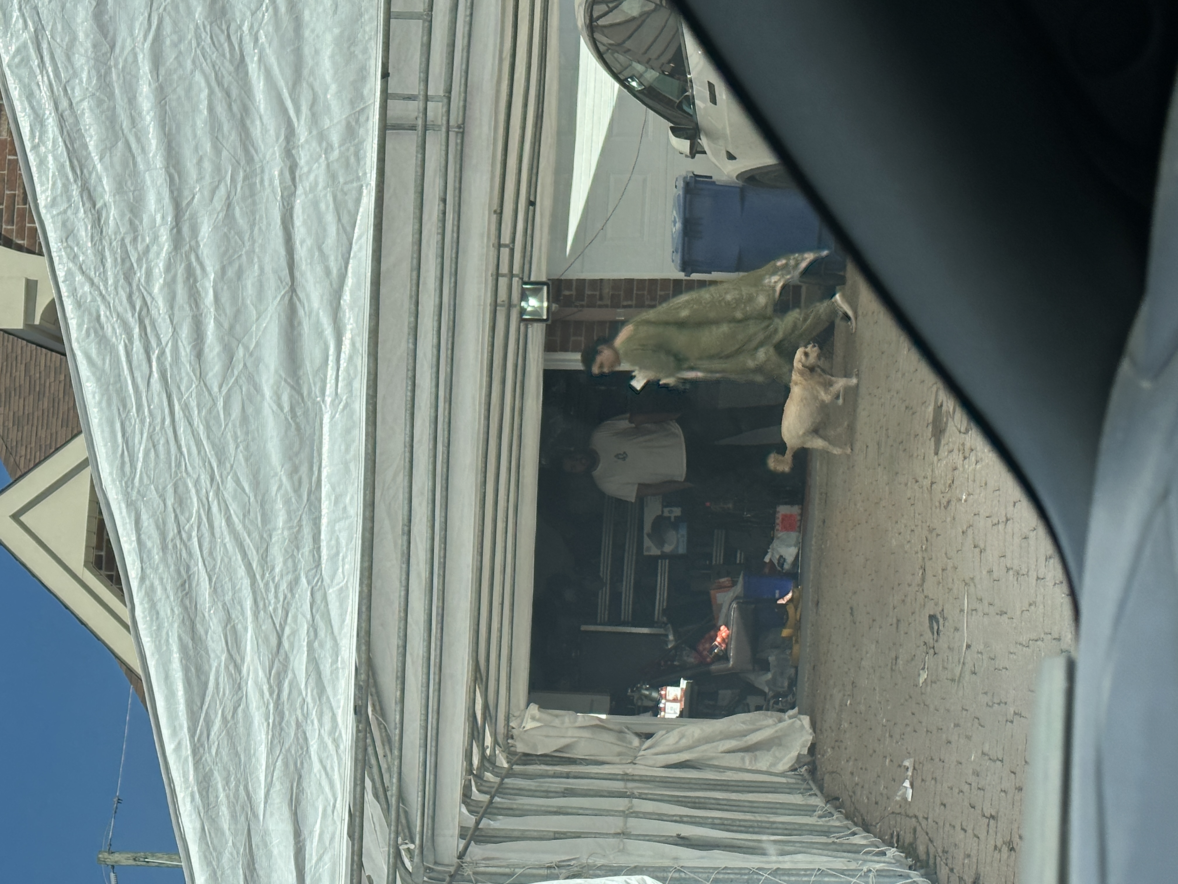 1779063742286 dwgfqh IMG 4187