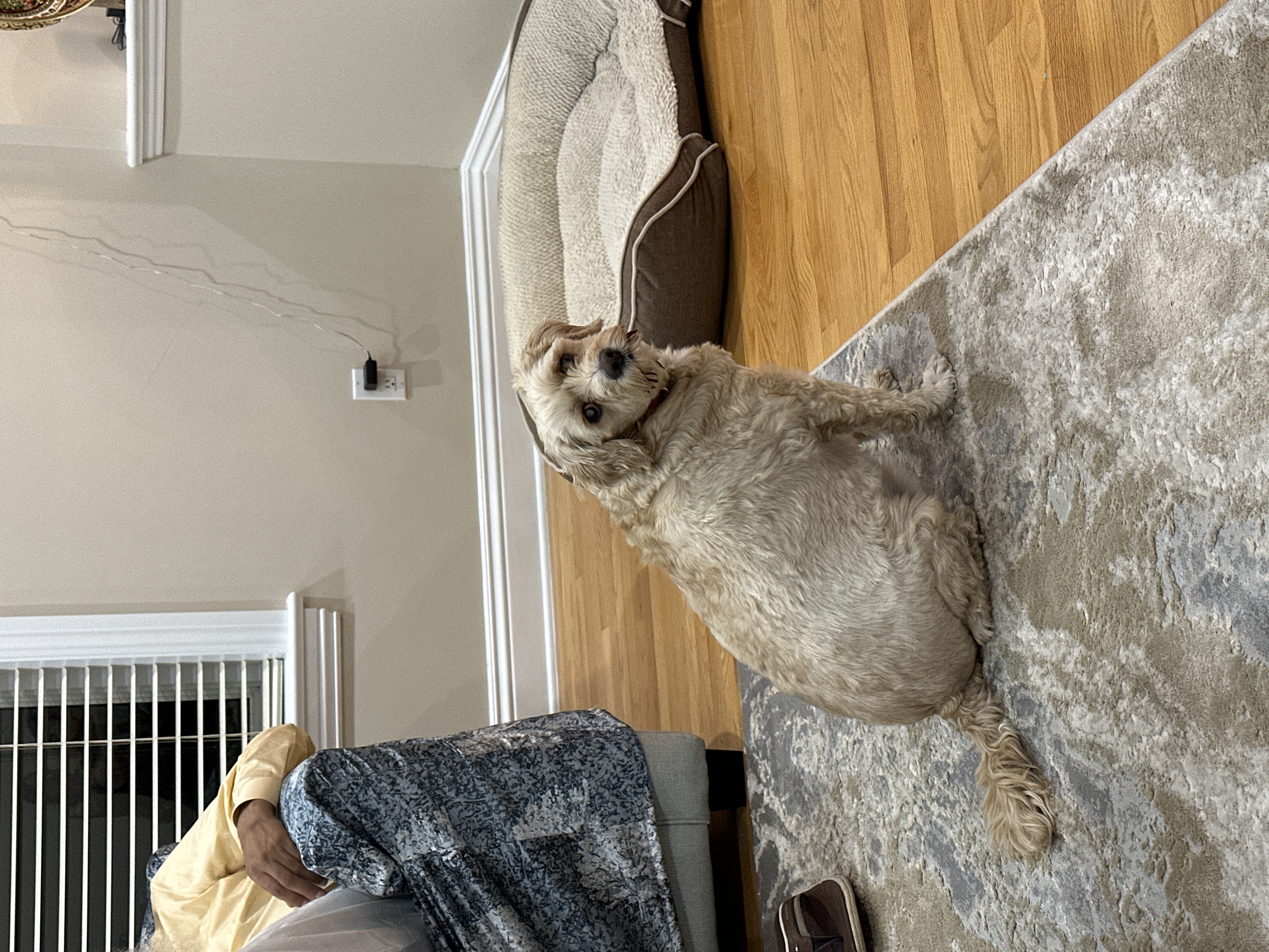 1779063743326 dk1jzj IMG 4228