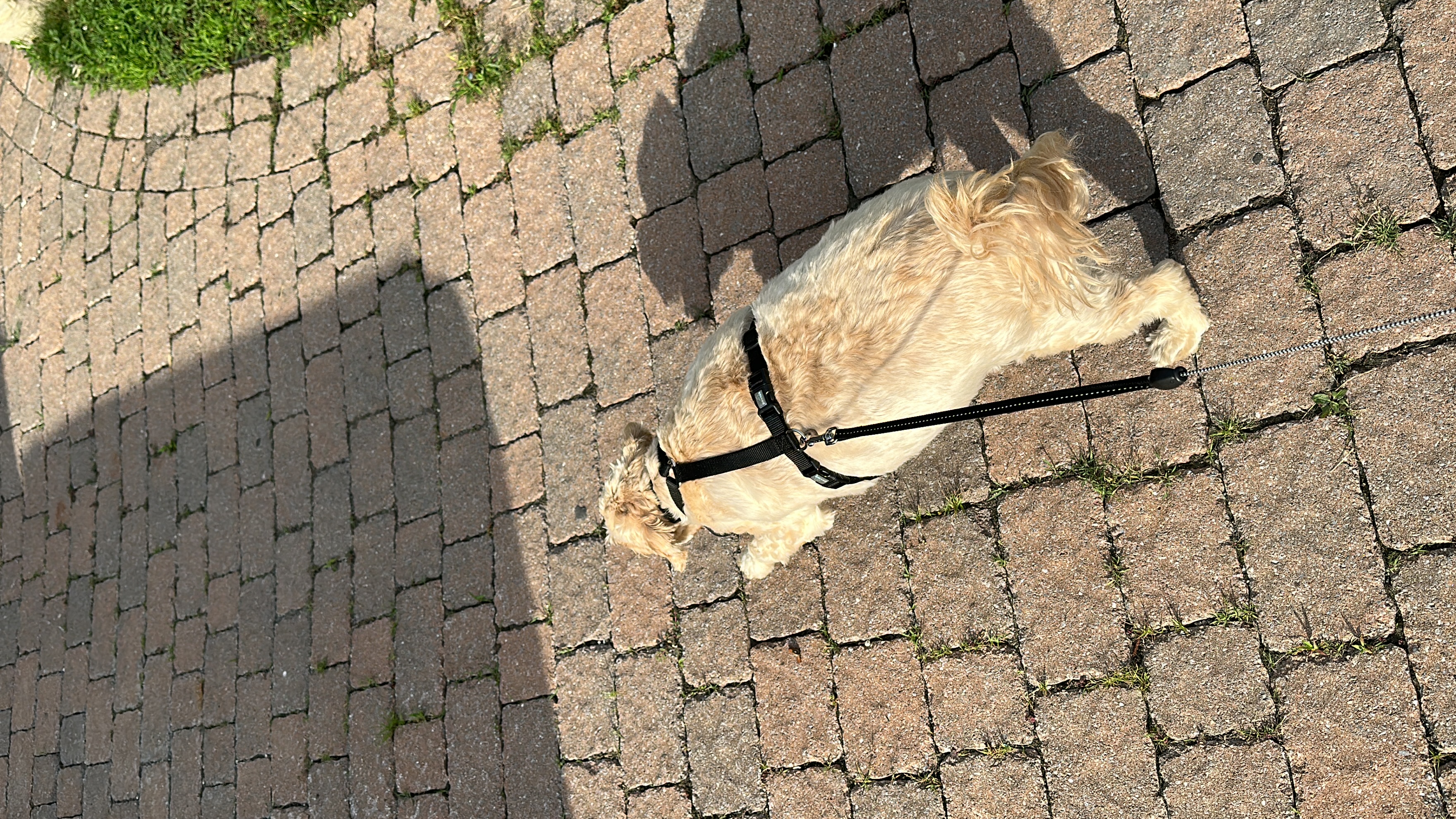 1779063744007 7y3ppc IMG 7242