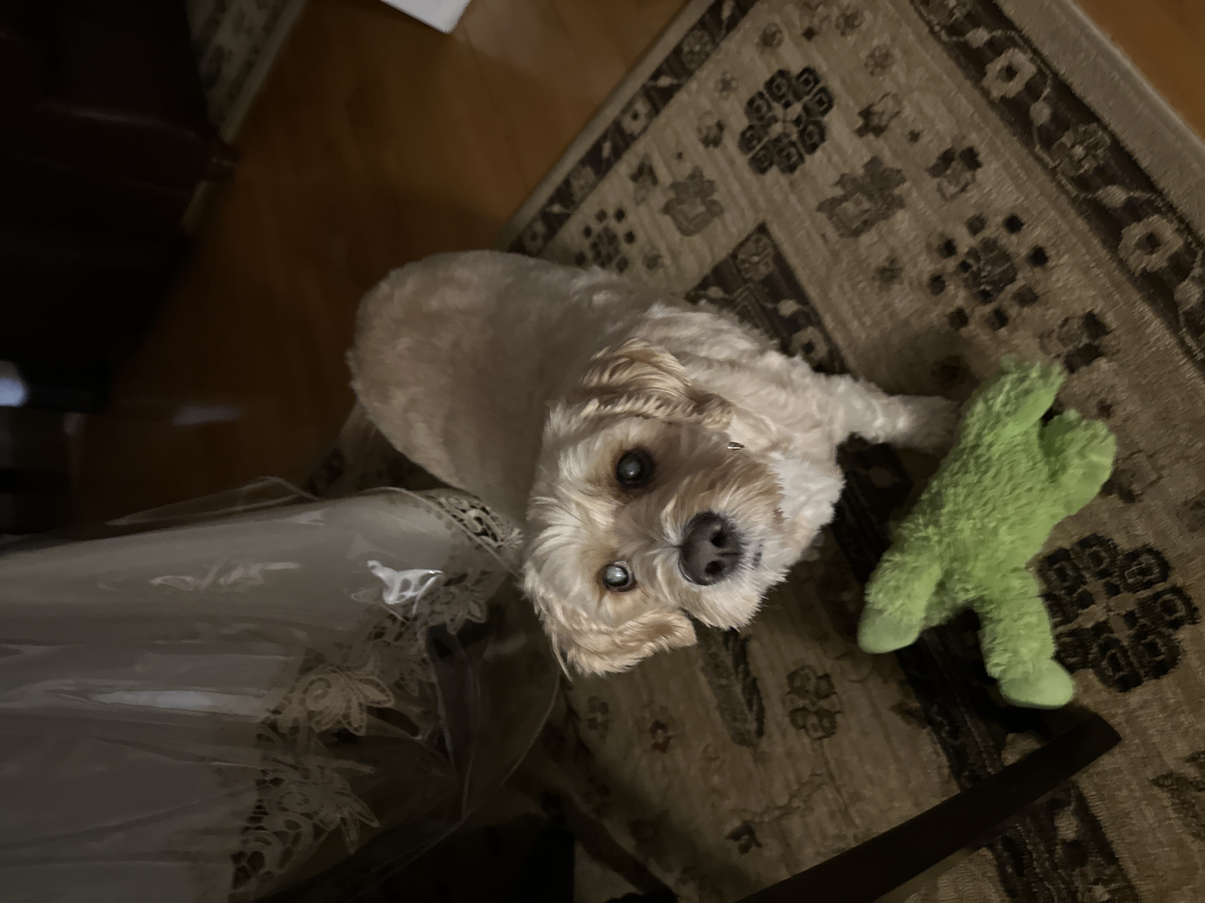 1779063754693 w03ykf IMG 5561