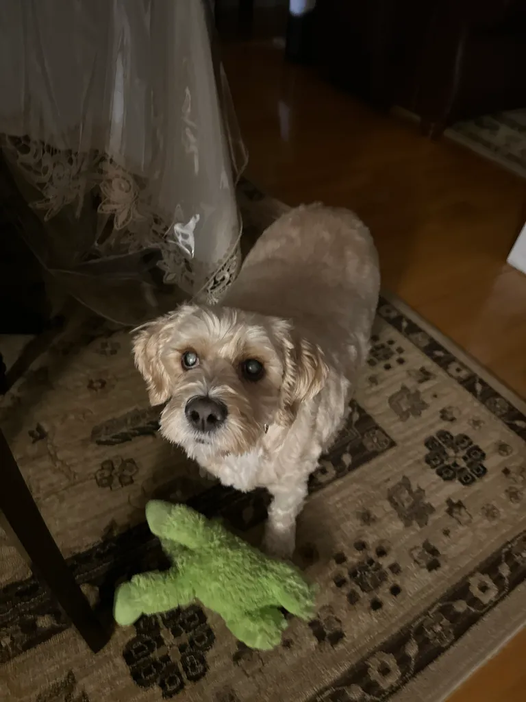 1779063754693 w03ykf IMG 5561