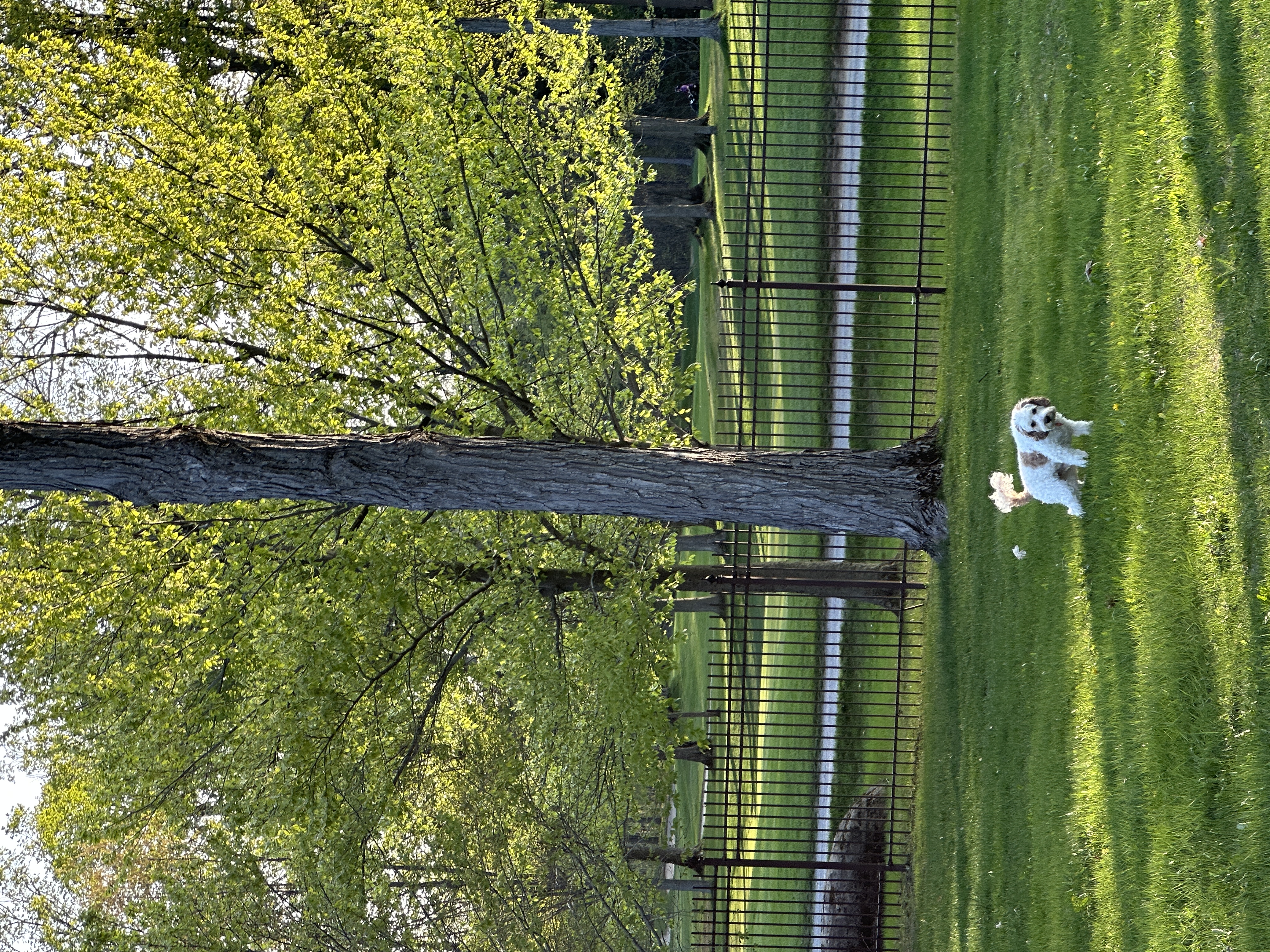1779063757344 ui8b8b IMG 5849
