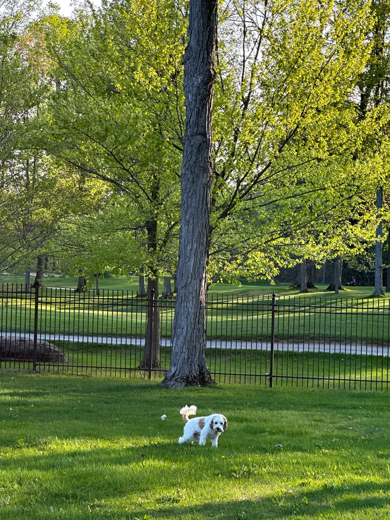 1779063757344 ui8b8b IMG 5849