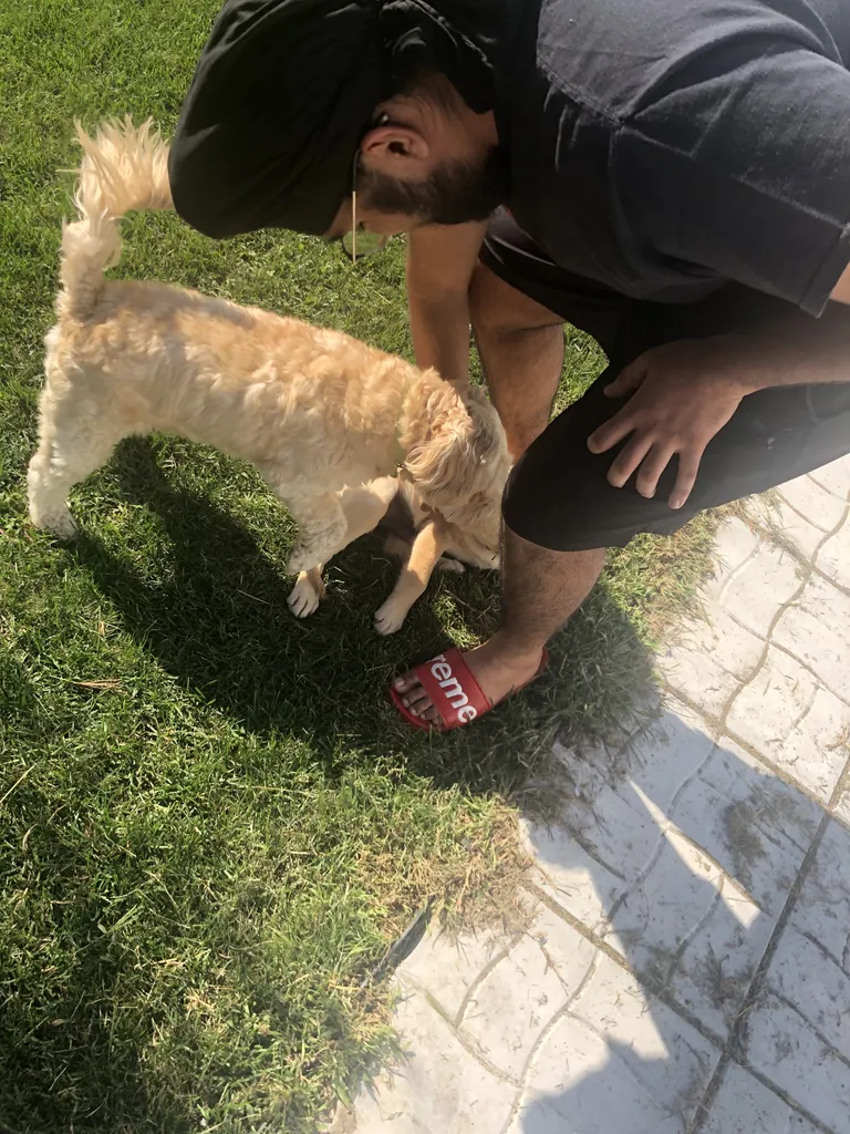 1779063758646 z9p48j IMG 3537