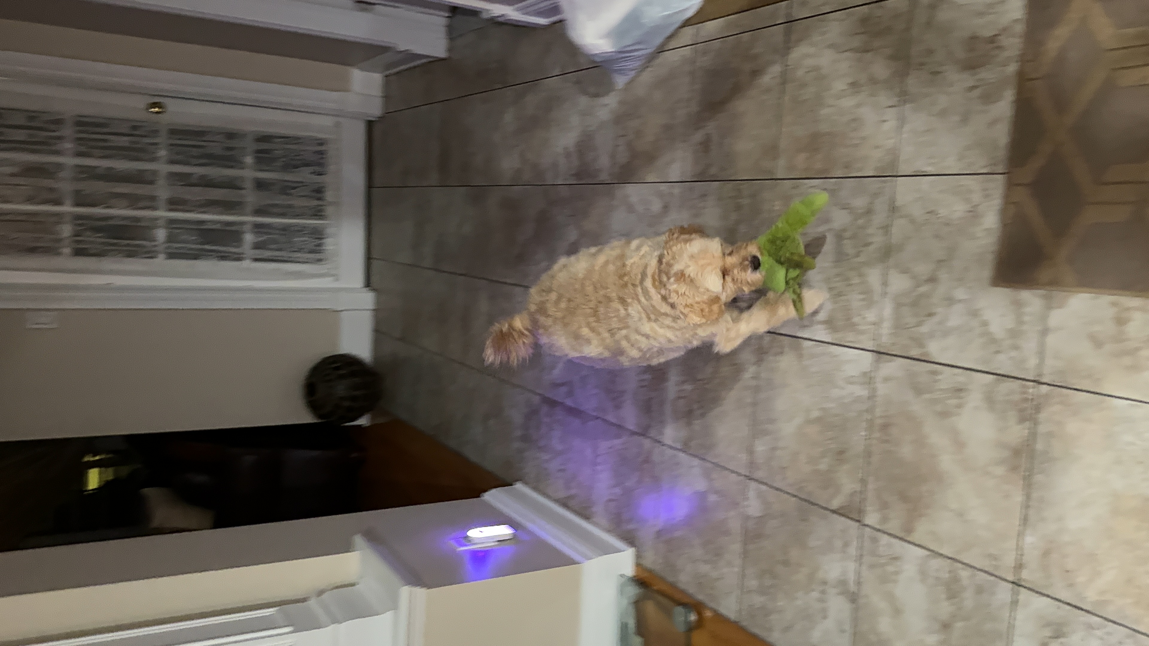 1779063760121 pl9712 IMG 1811 1 