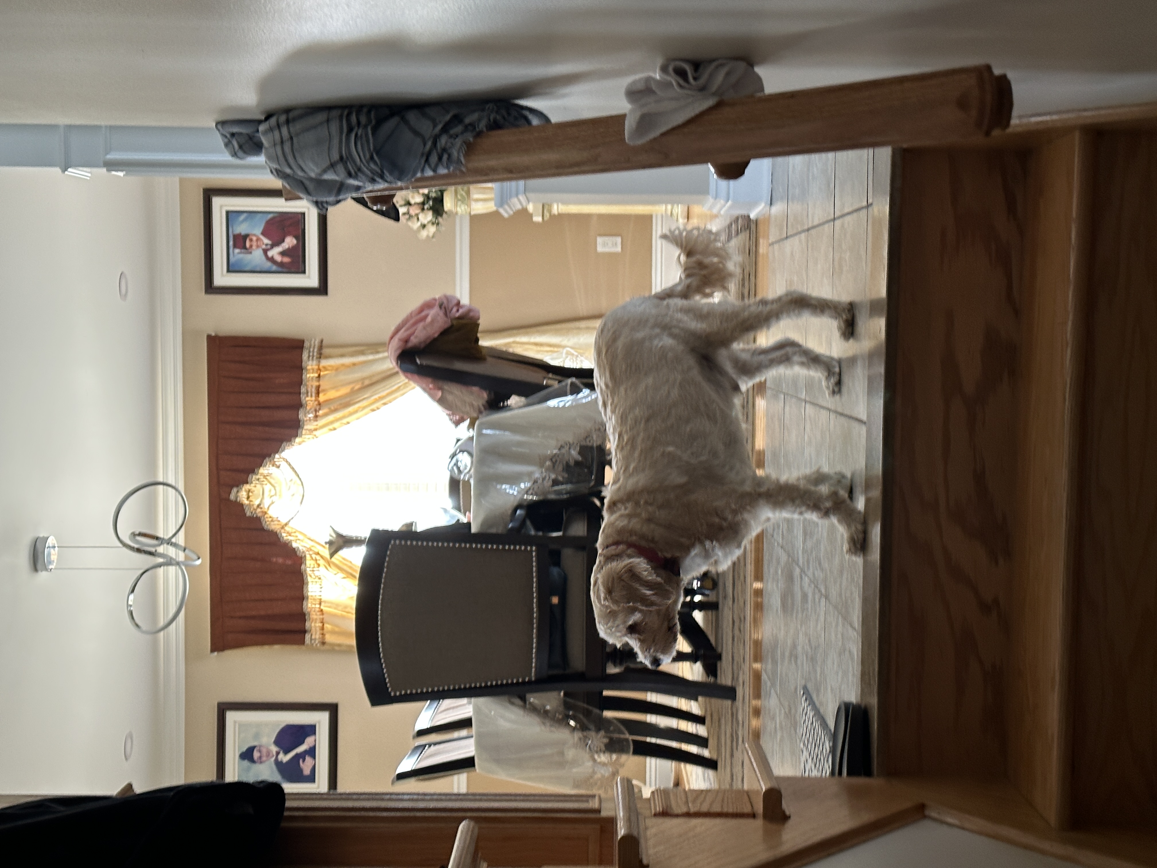 1779063760696 z6hmow IMG 4262