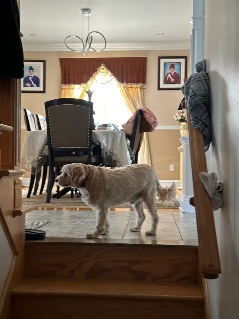 1779063760696 z6hmow IMG 4262